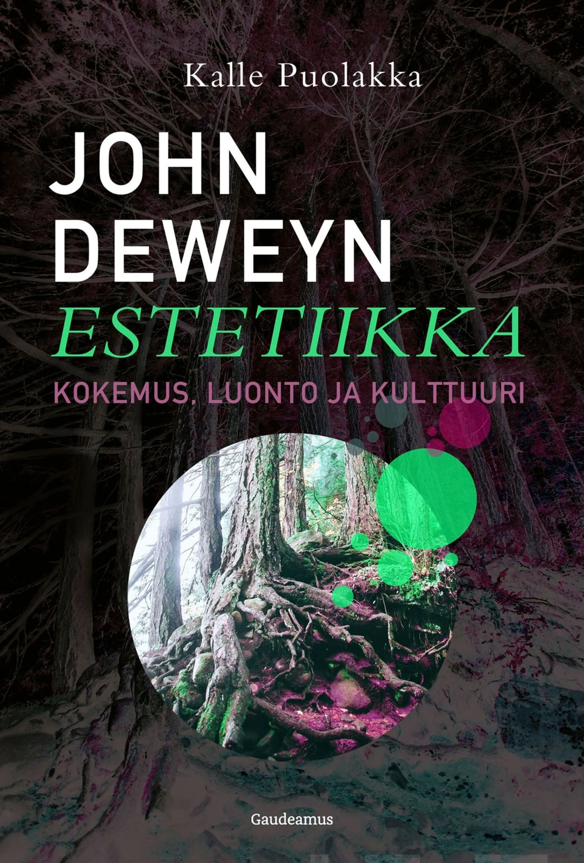 Puolakka, John Deweyn estetiikka - Kokemus, luonto ja kulttuuri