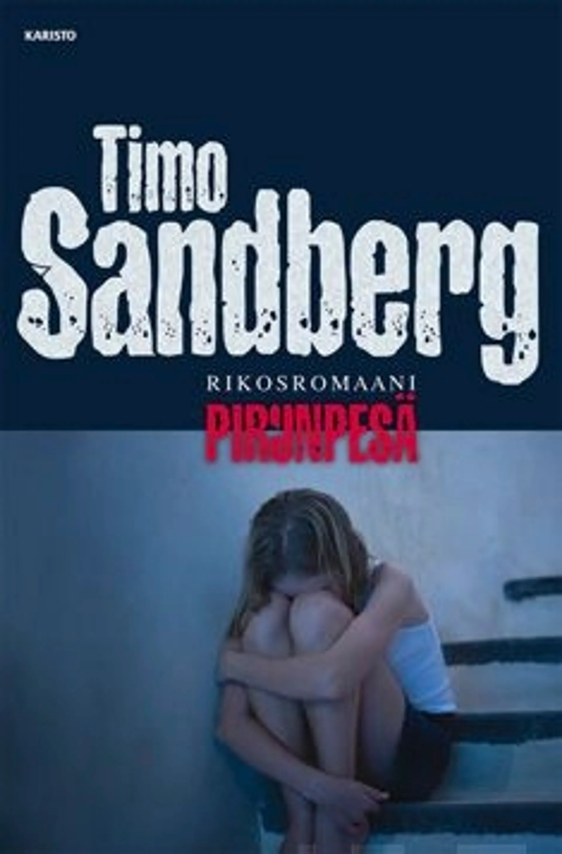 Sandberg, Pirunpesä - Rikosromaani