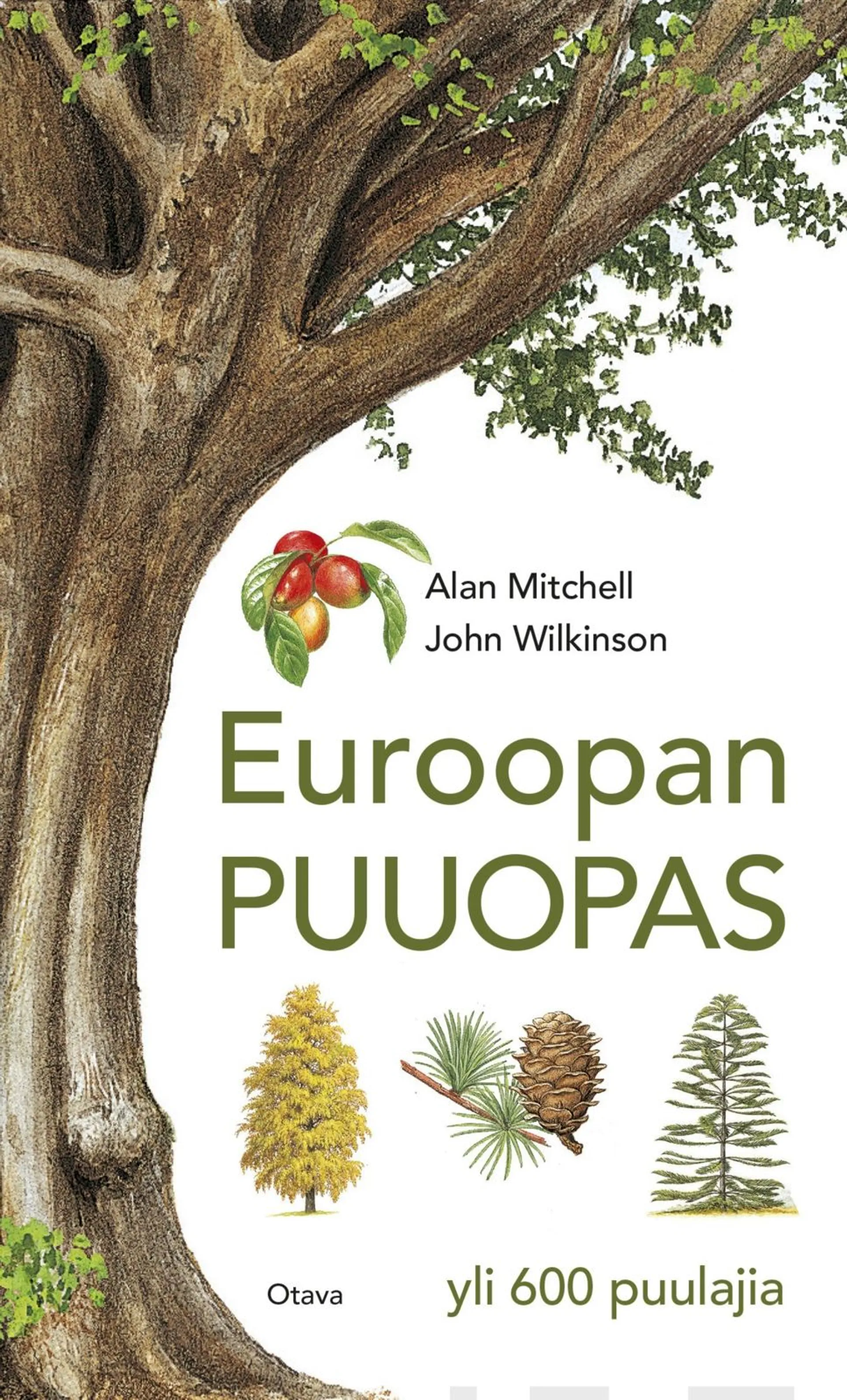 Mitchell, Euroopan puuopas