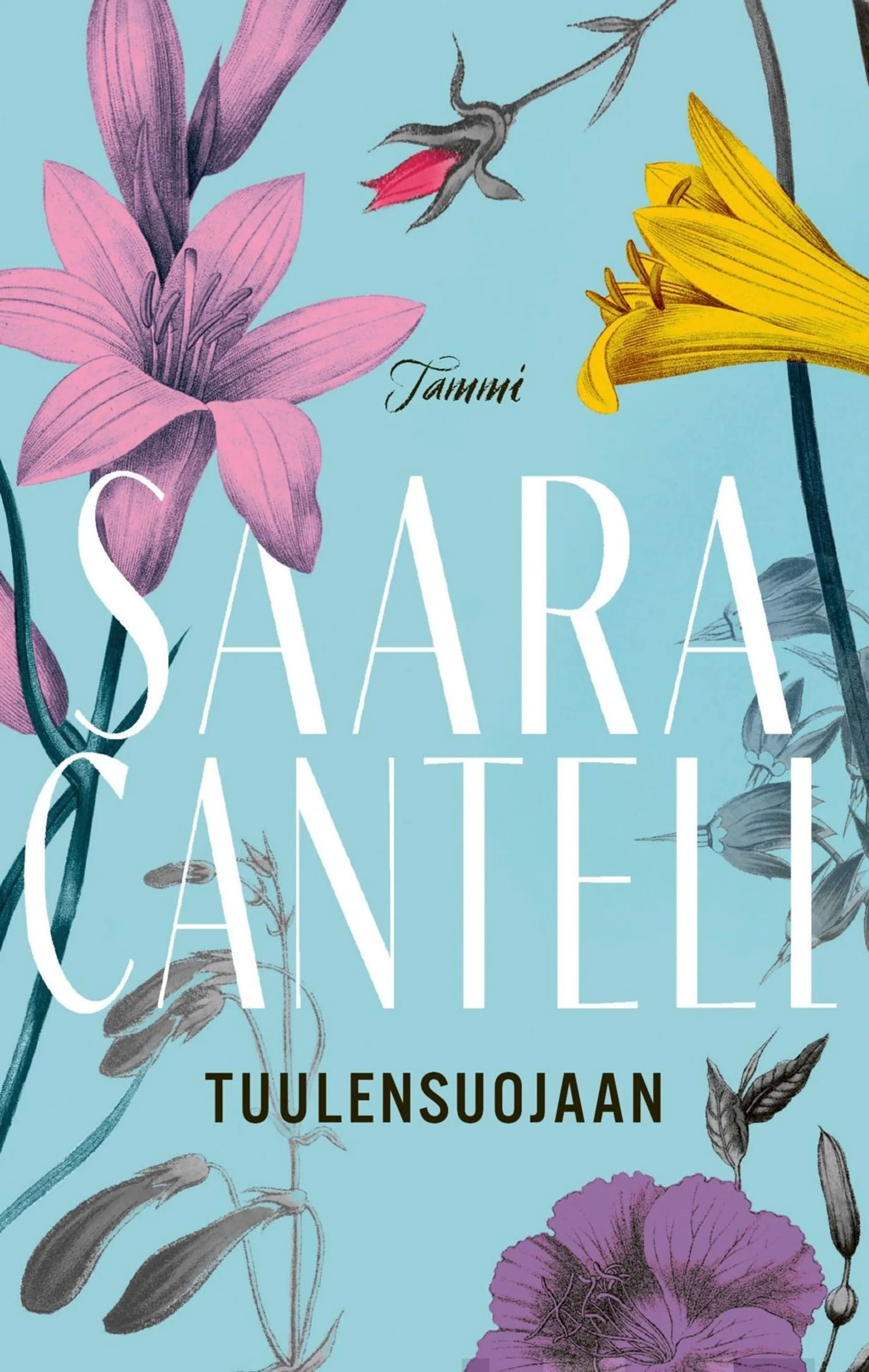 Cantell, Tuulensuojaan