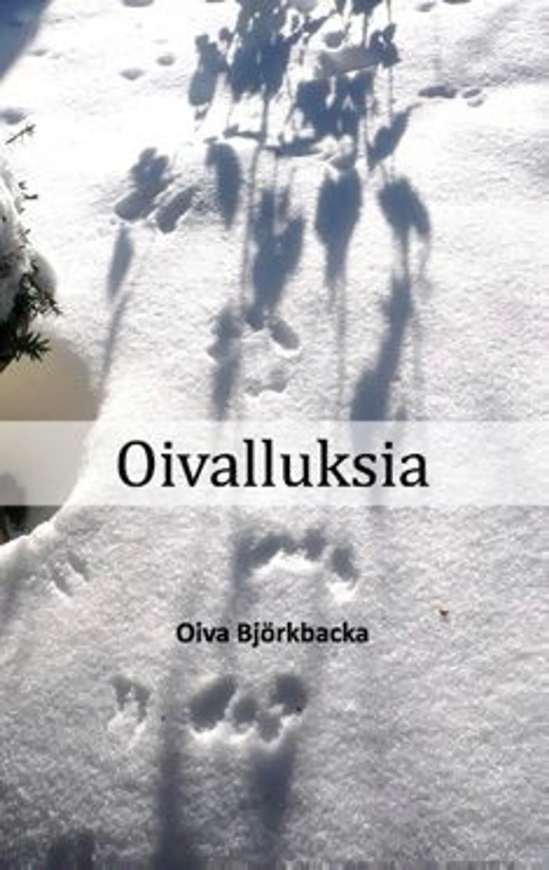 Björkbacka, Oivalluksia