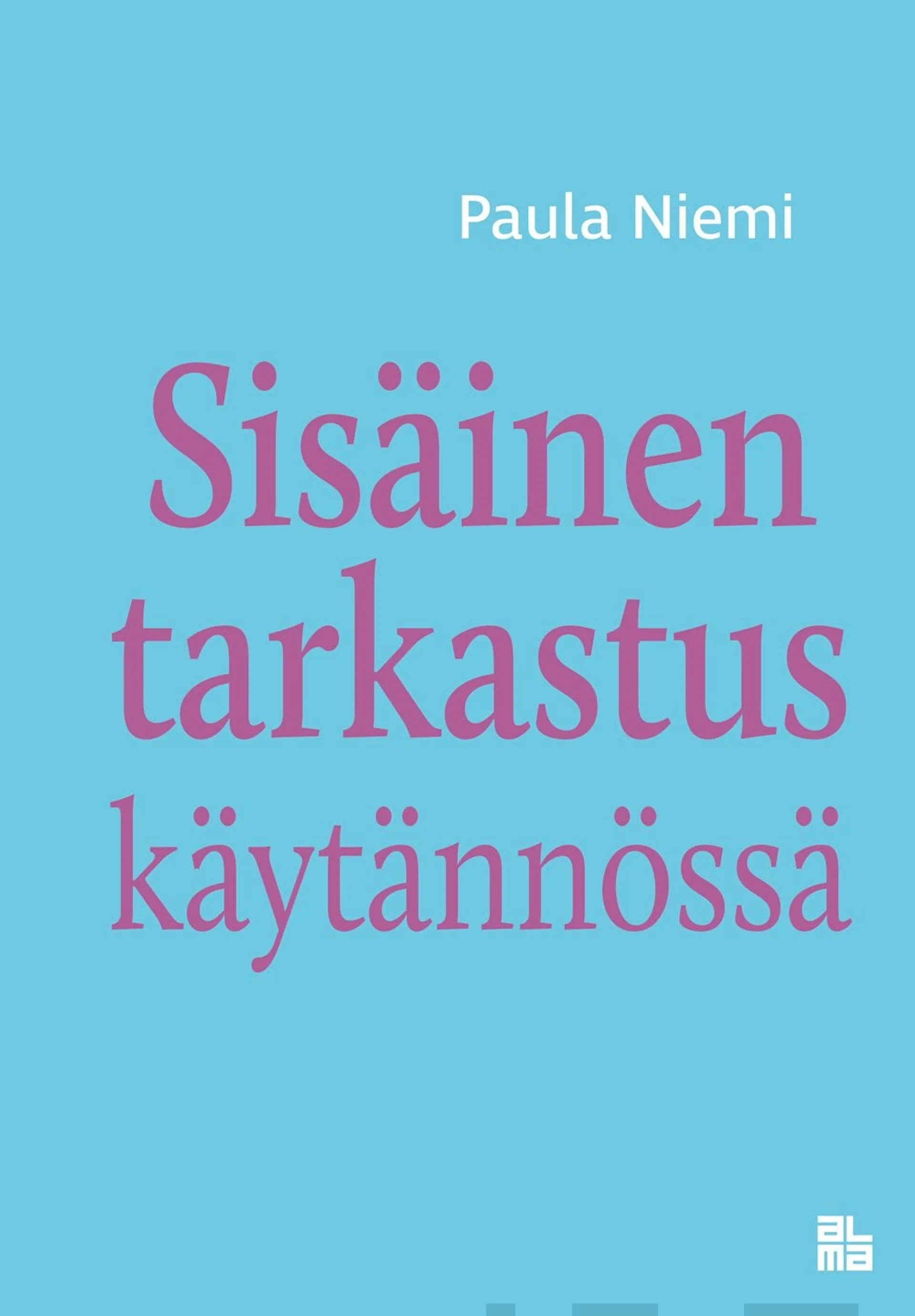 Niemi, Sisäinen tarkastus käytännössä