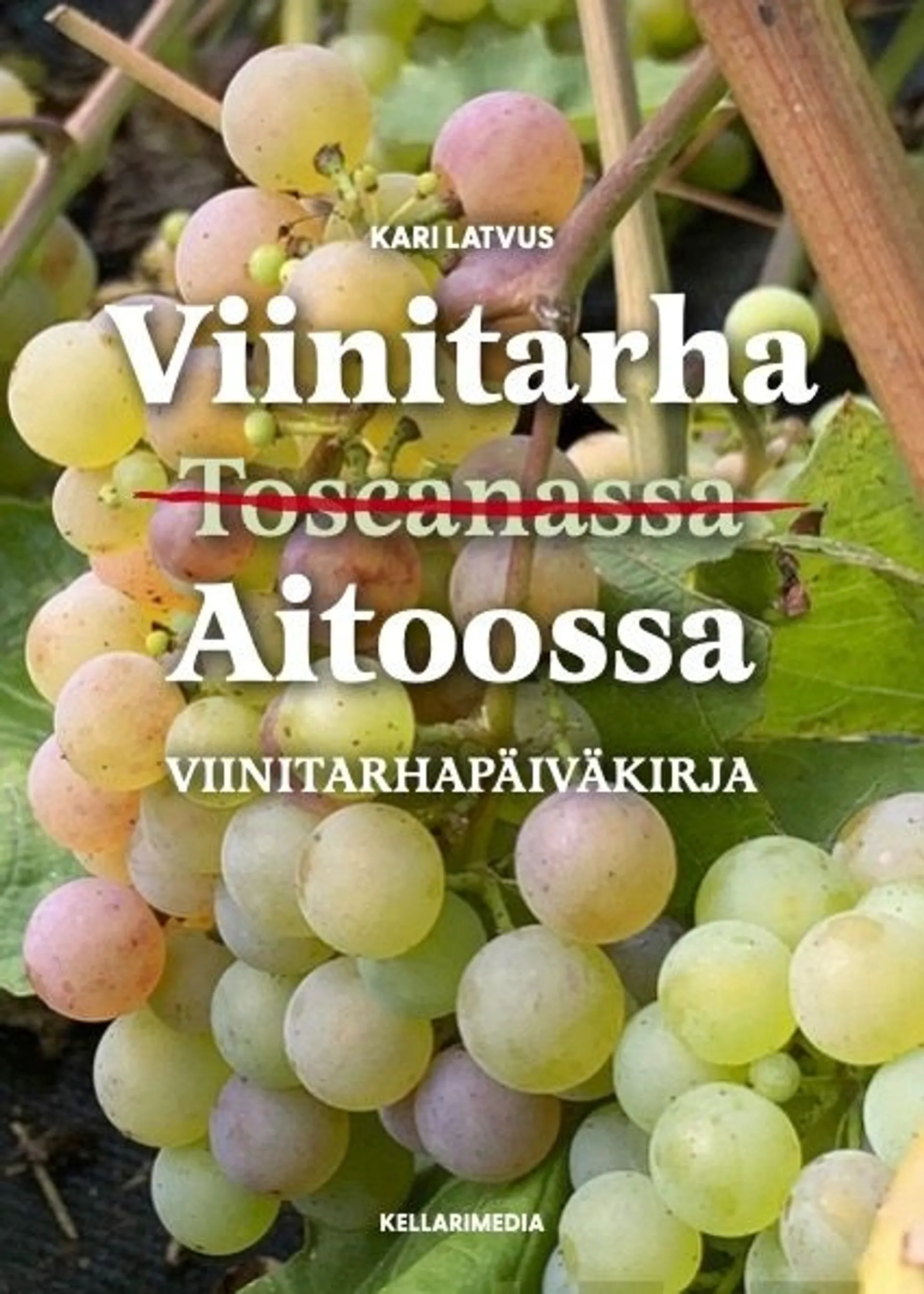 Latvus, Viinitarha [Toscanassa] Aitoossa - Viinitarhapäiväkirja