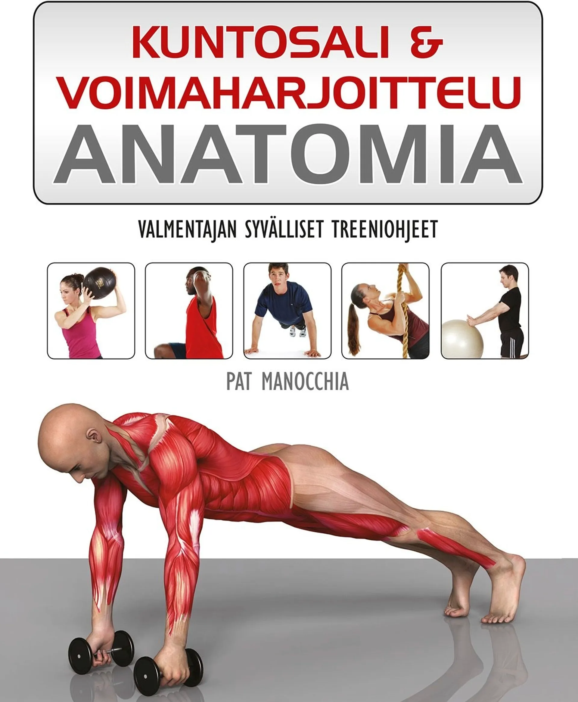 Manocchia, Kuntosali & voimaharjoittelu - Anatomia : valmentajan syvälliset treeniohjeet