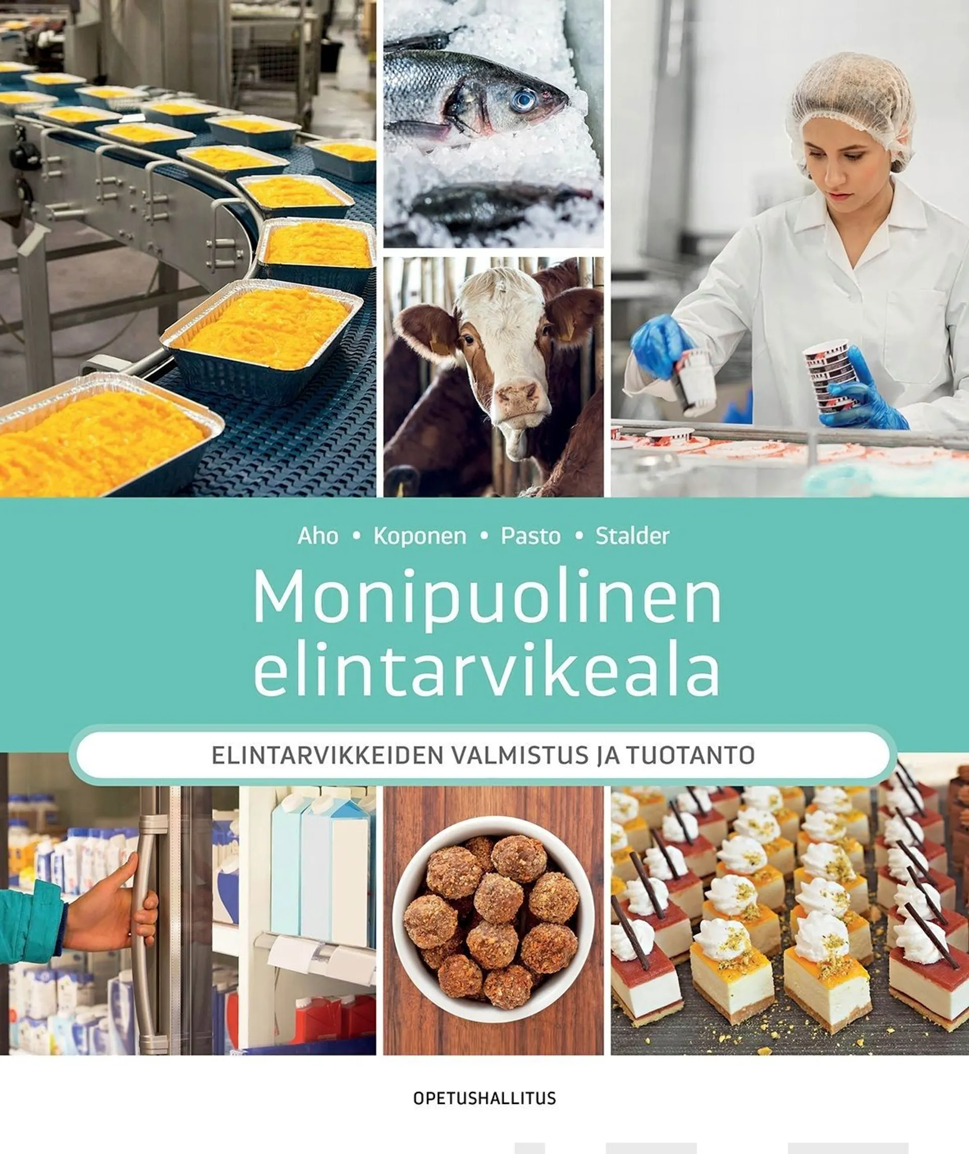 Aho, Monipuolinen elintarvikeala - Elintarvikkeiden valmistus ja tuotanto