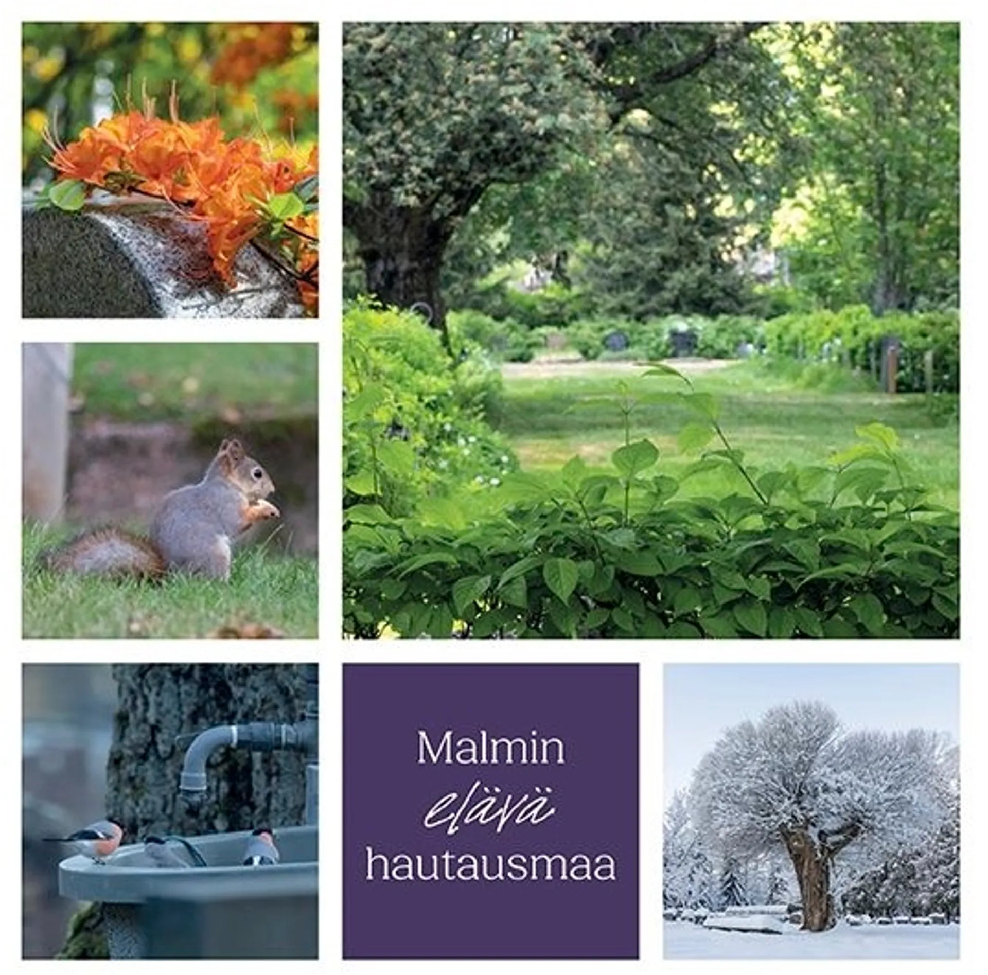 Malmin elävä hautausmaa