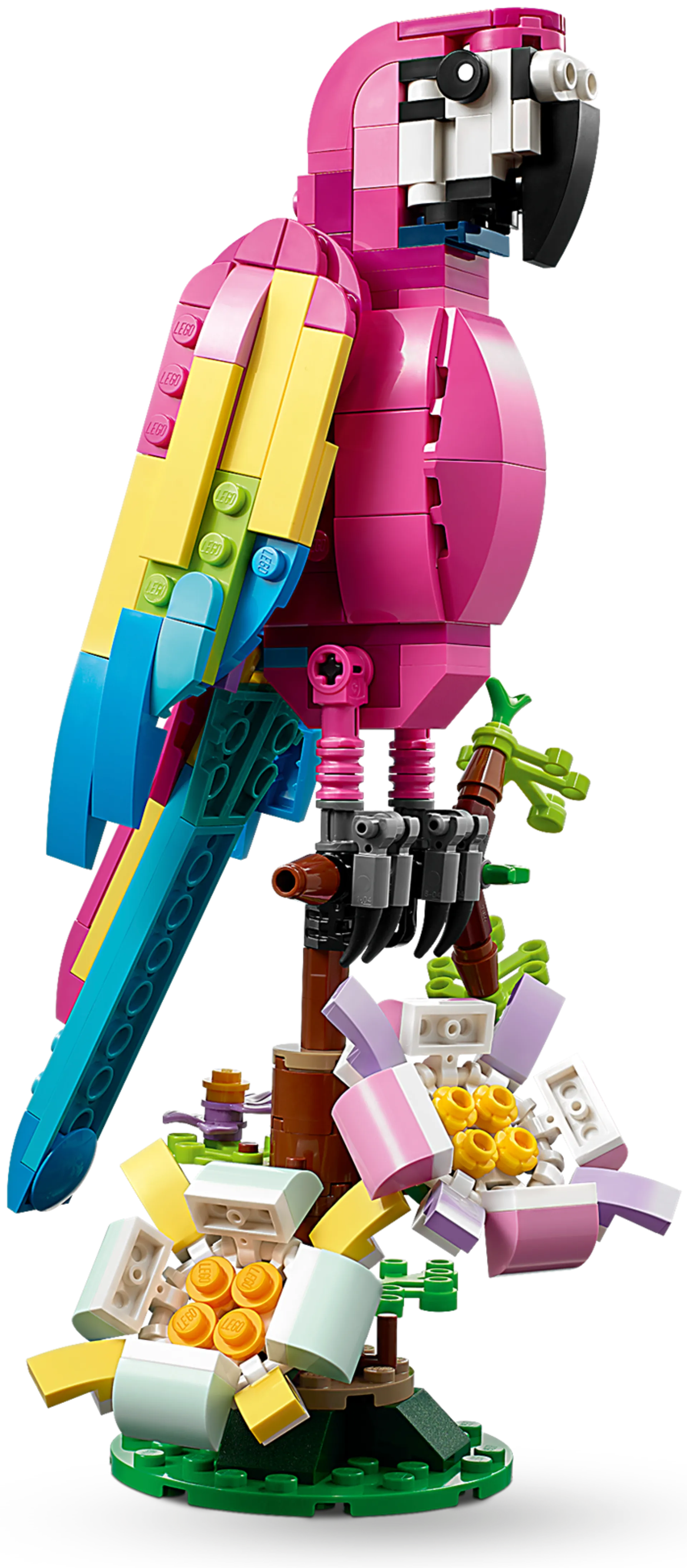 LEGO Creator 31144 Eksoottinen pinkki papukaija - 7