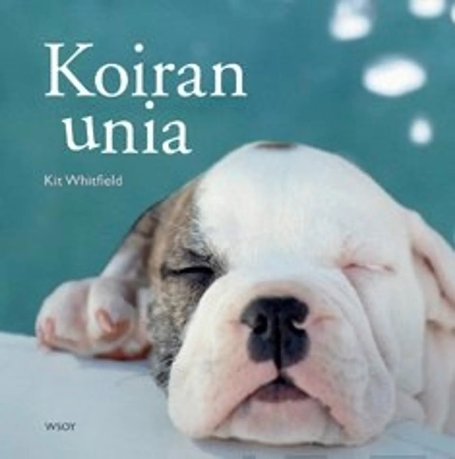 Koiran unia