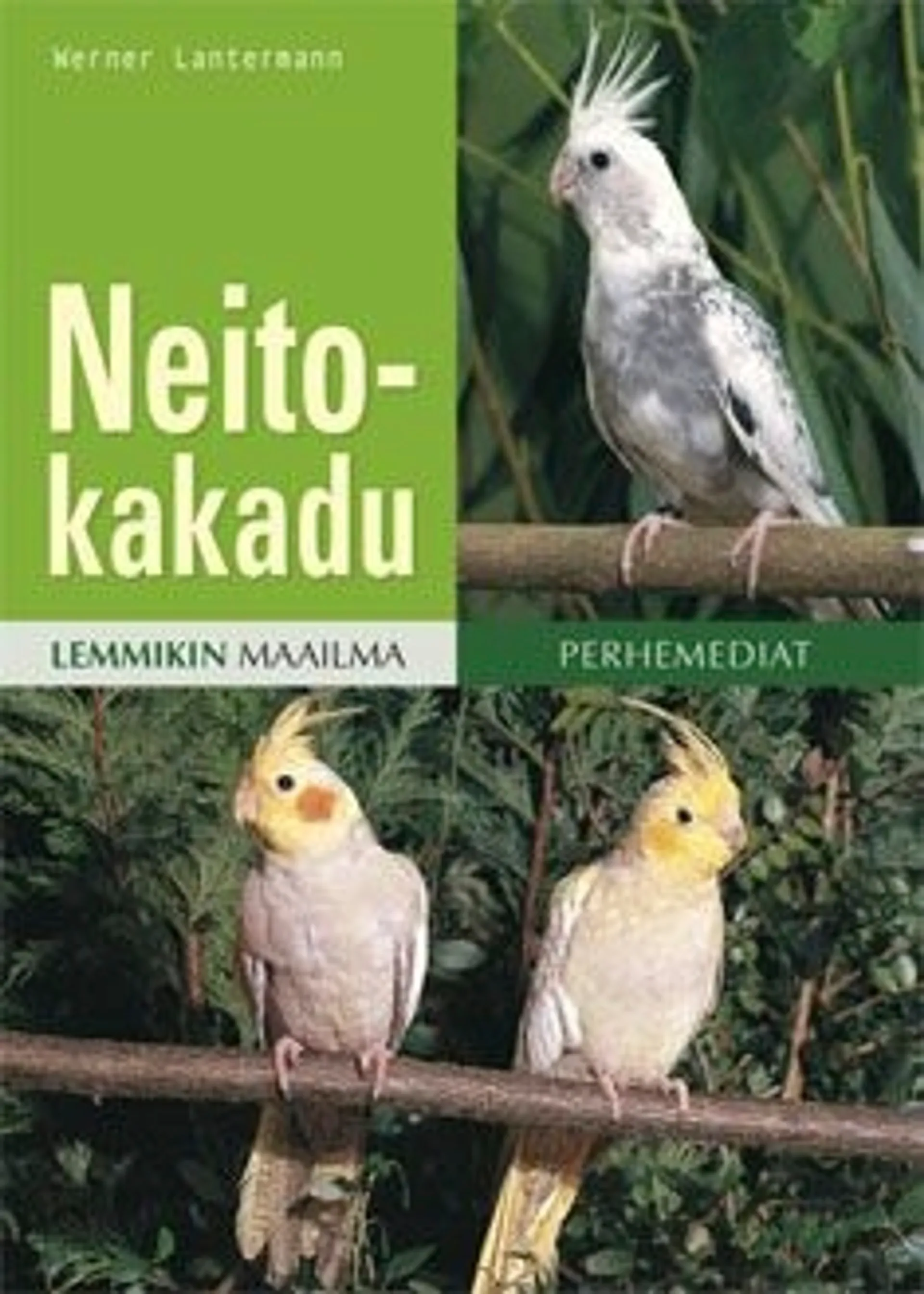 Lantermann, Neitokakadu