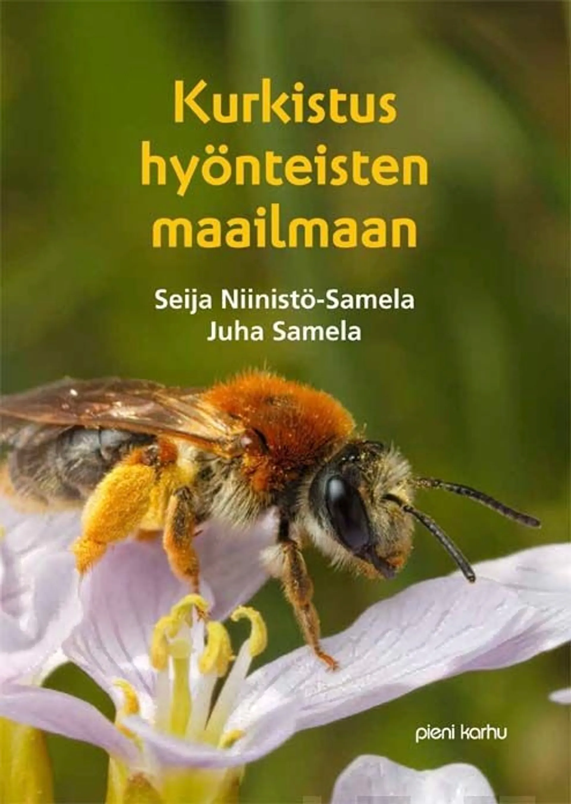 Niinistö-Samela, Kurkistus hyönteisten maailmaan (selkokirja)