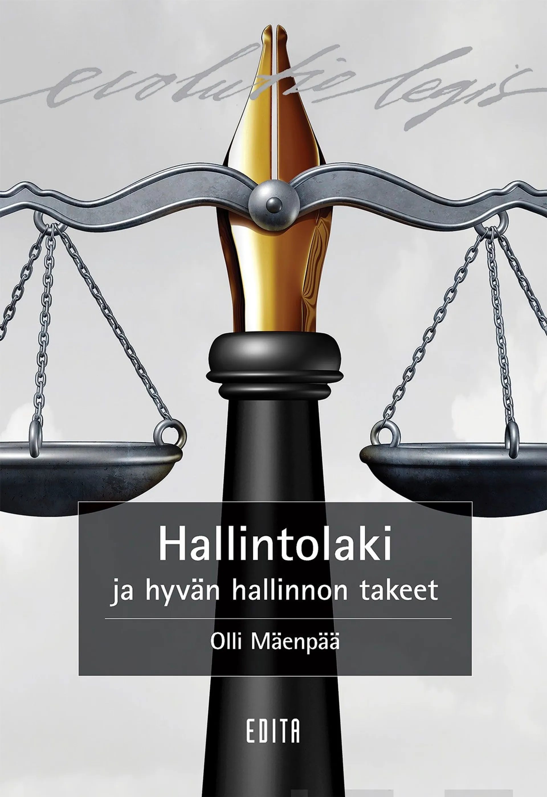 Mäenpää, Hallintolaki ja hyvän hallinnon takeet