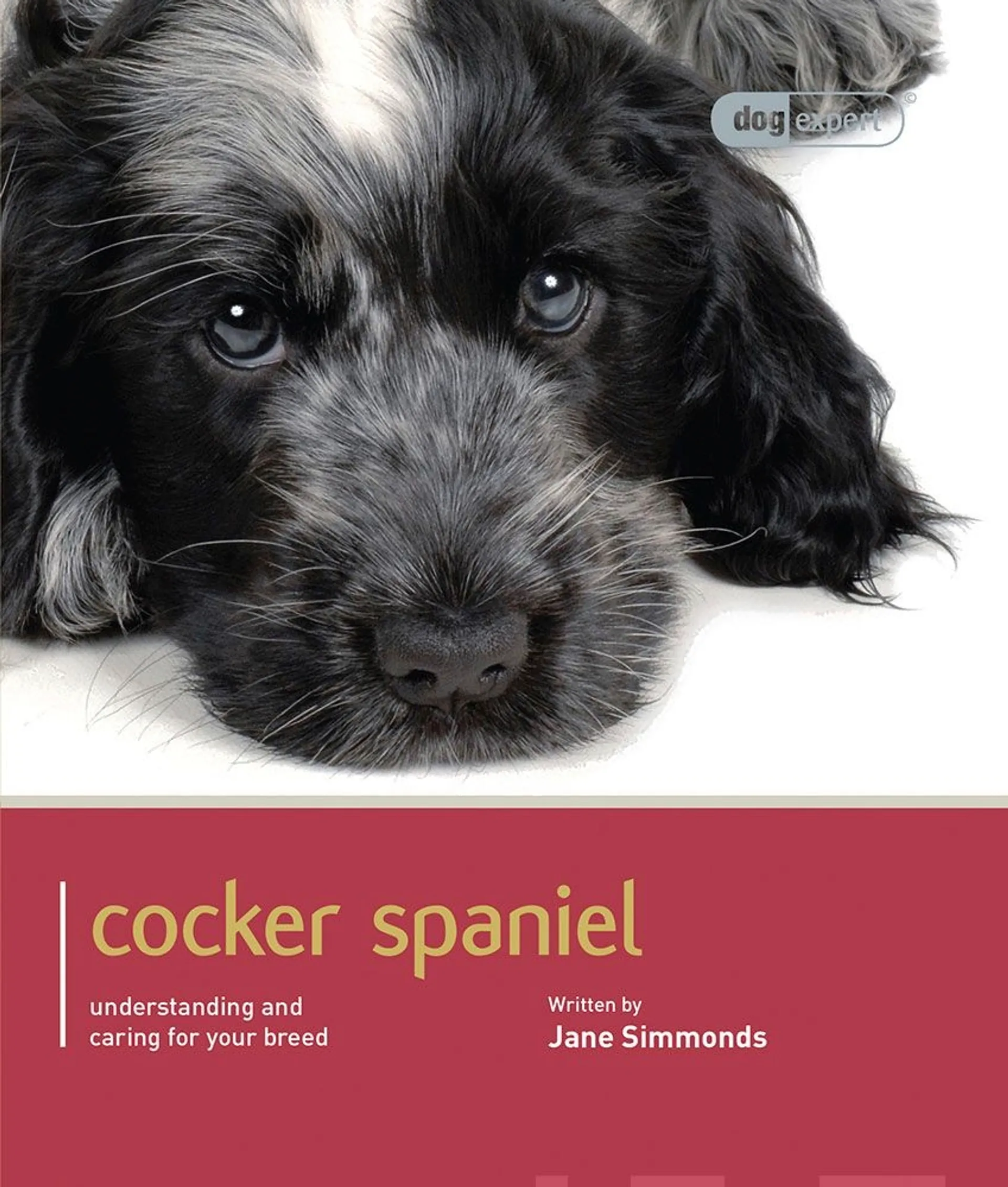 Simmonds, Cocker Spaniel - Understanding and caring for your breed