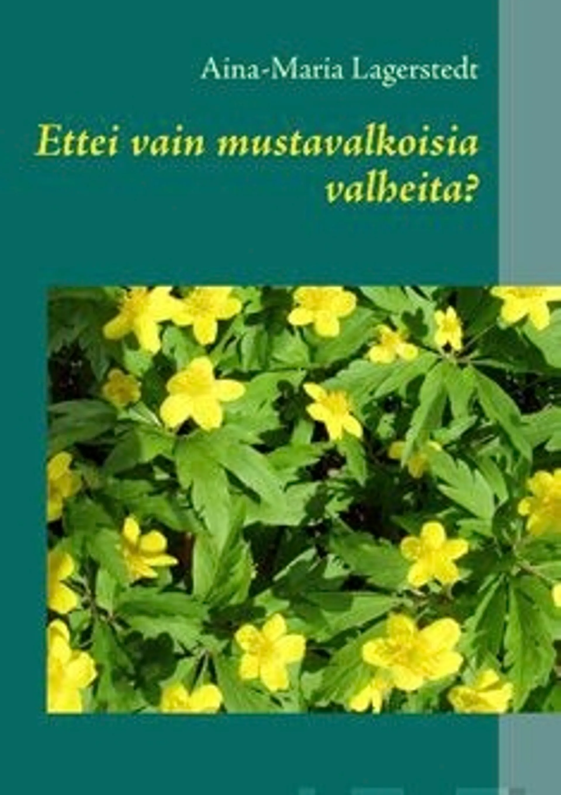 Lagerstedt, Ettei vain mustavalkoisia valheita?