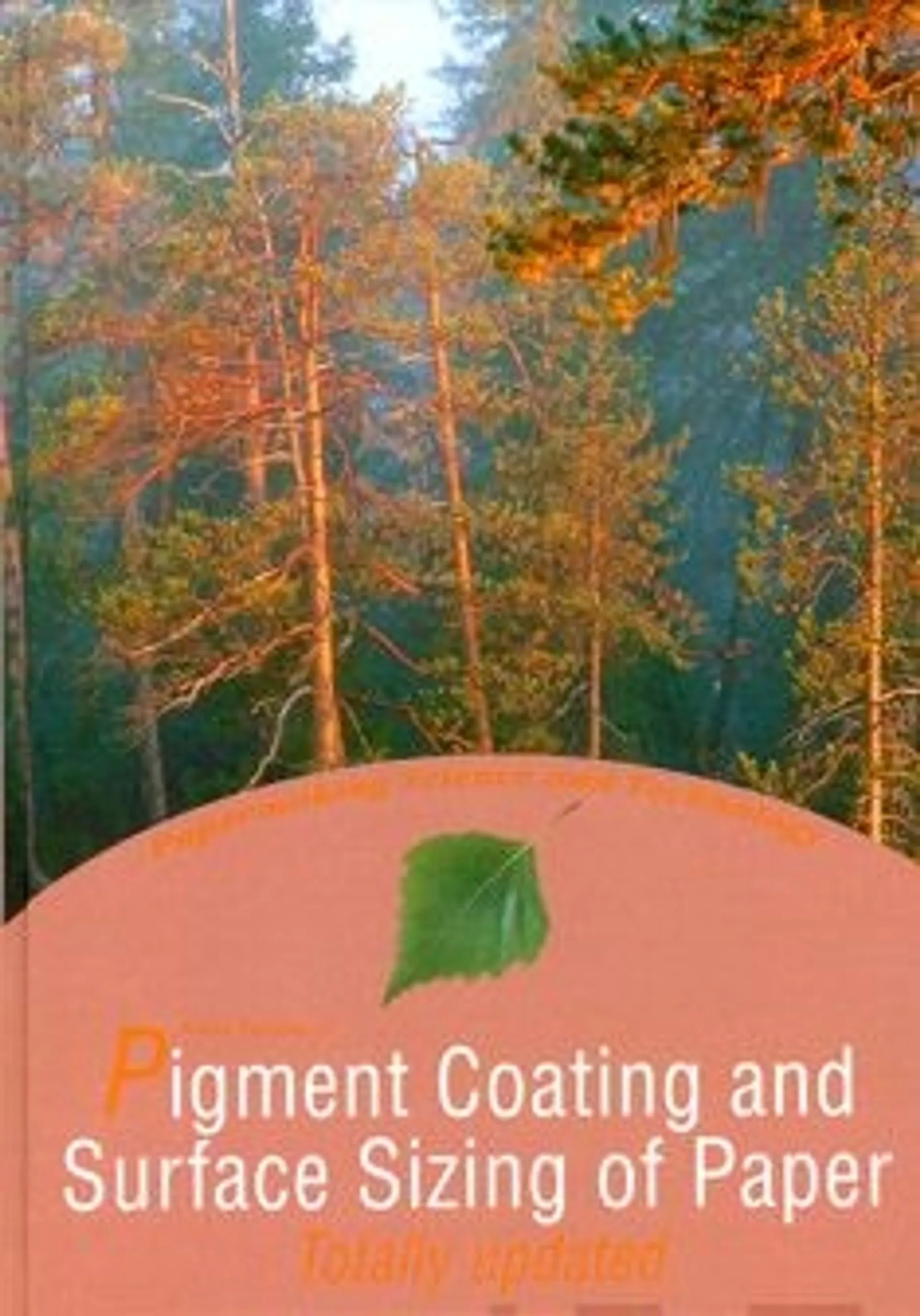 Pigment coating and surface sizing of paper