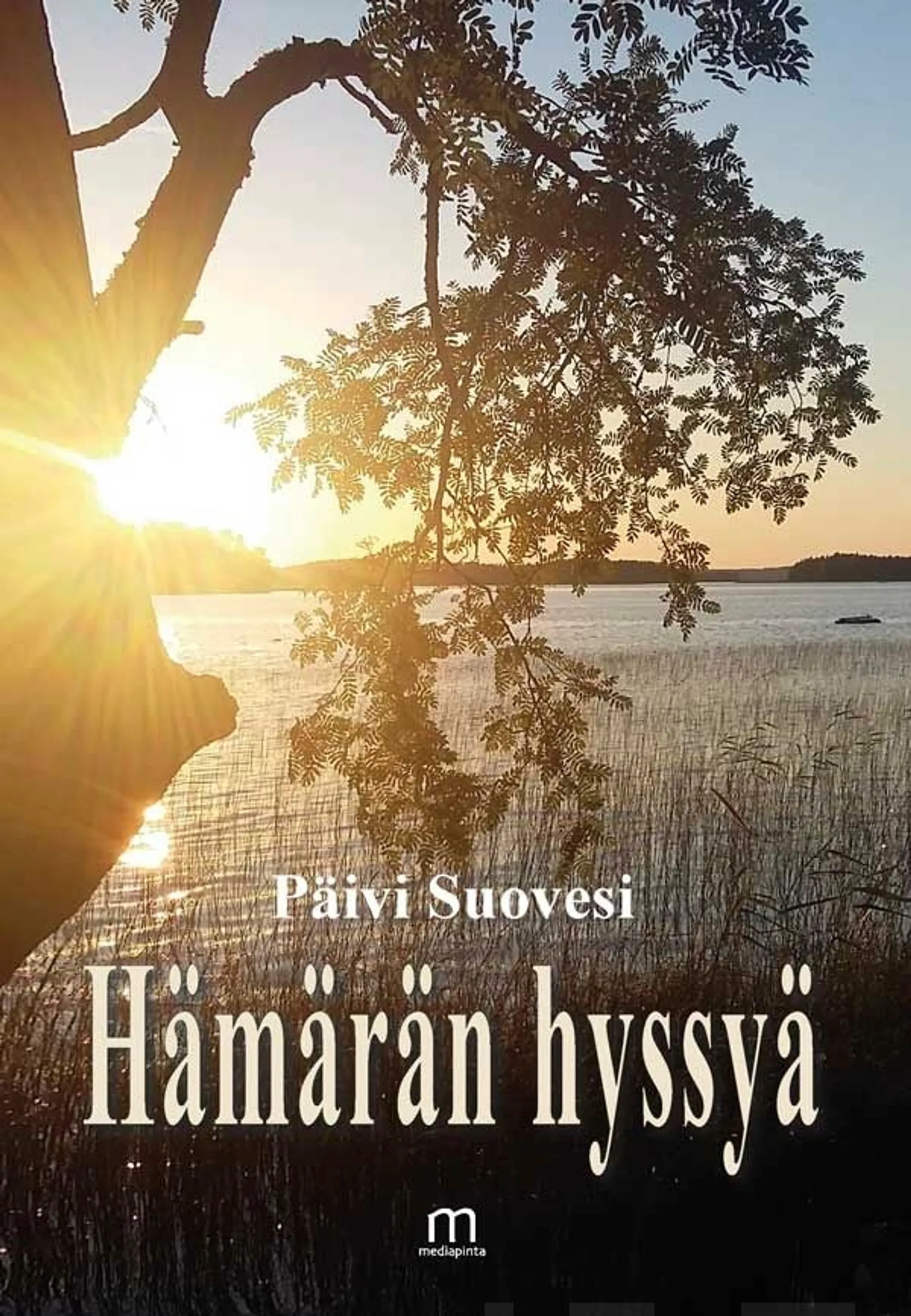 Suovesi, Hämärän hyssyä