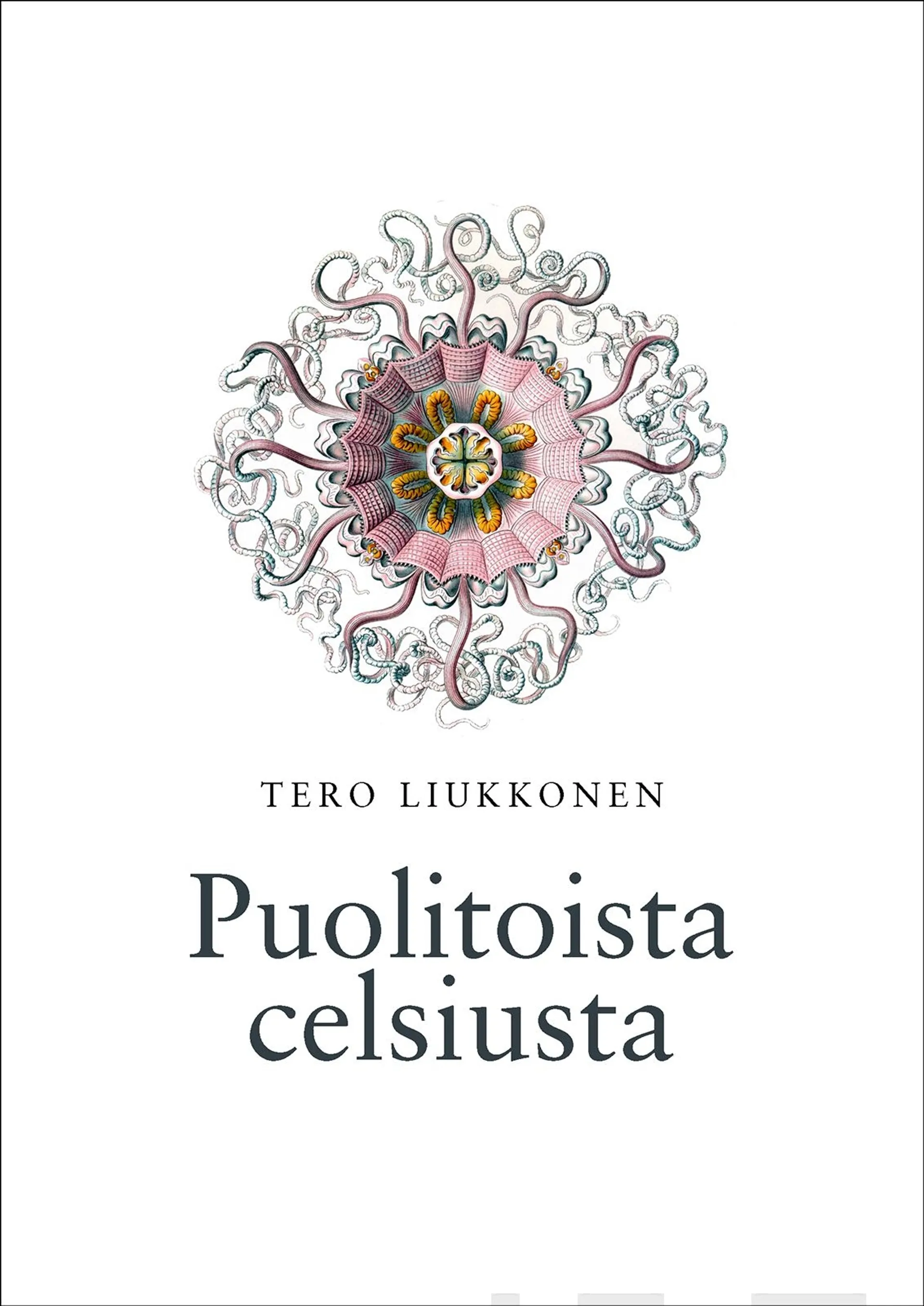 Liukkonen, Puolitoista celsiusta - Runoja