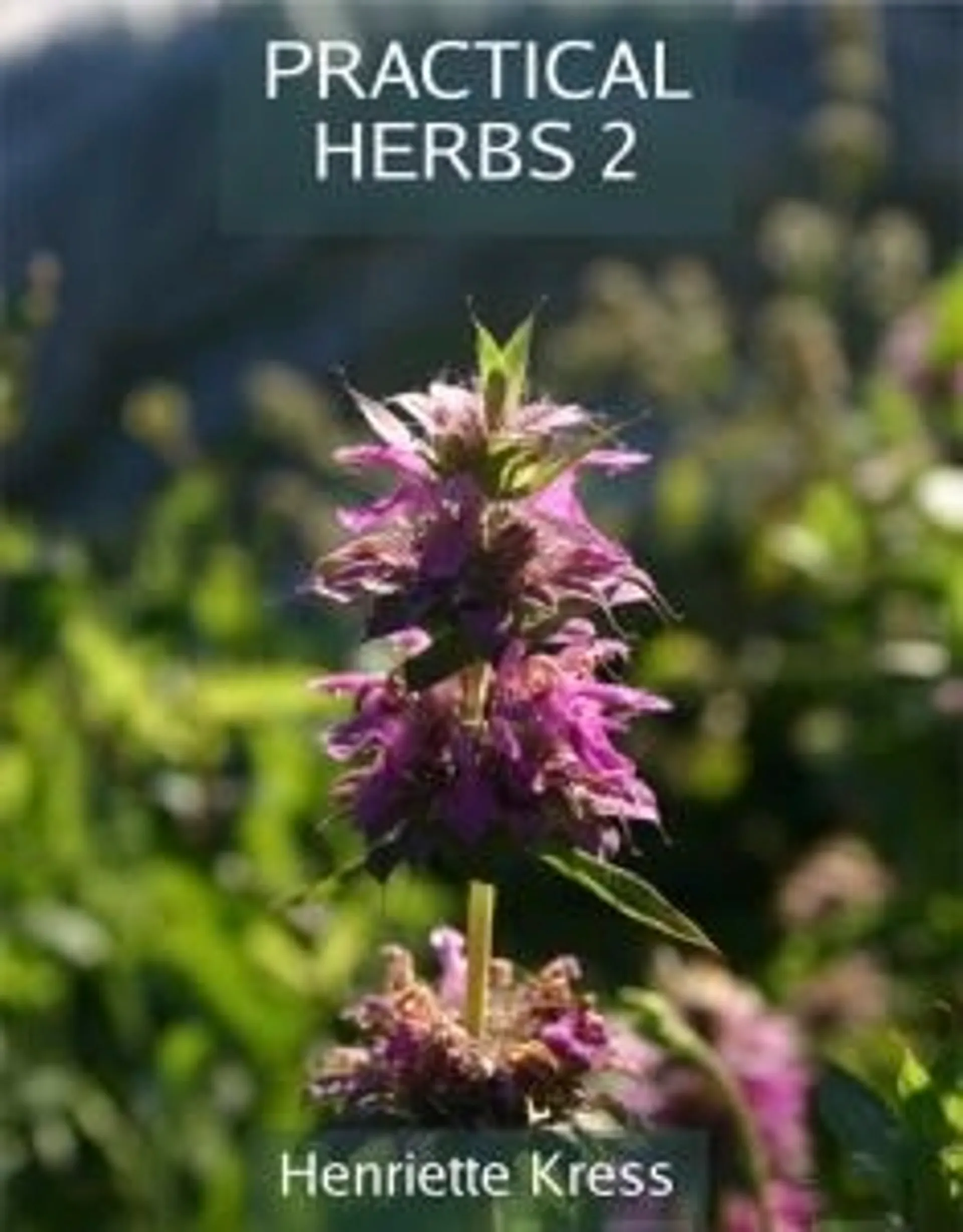 Kress, Practical Herbs 2