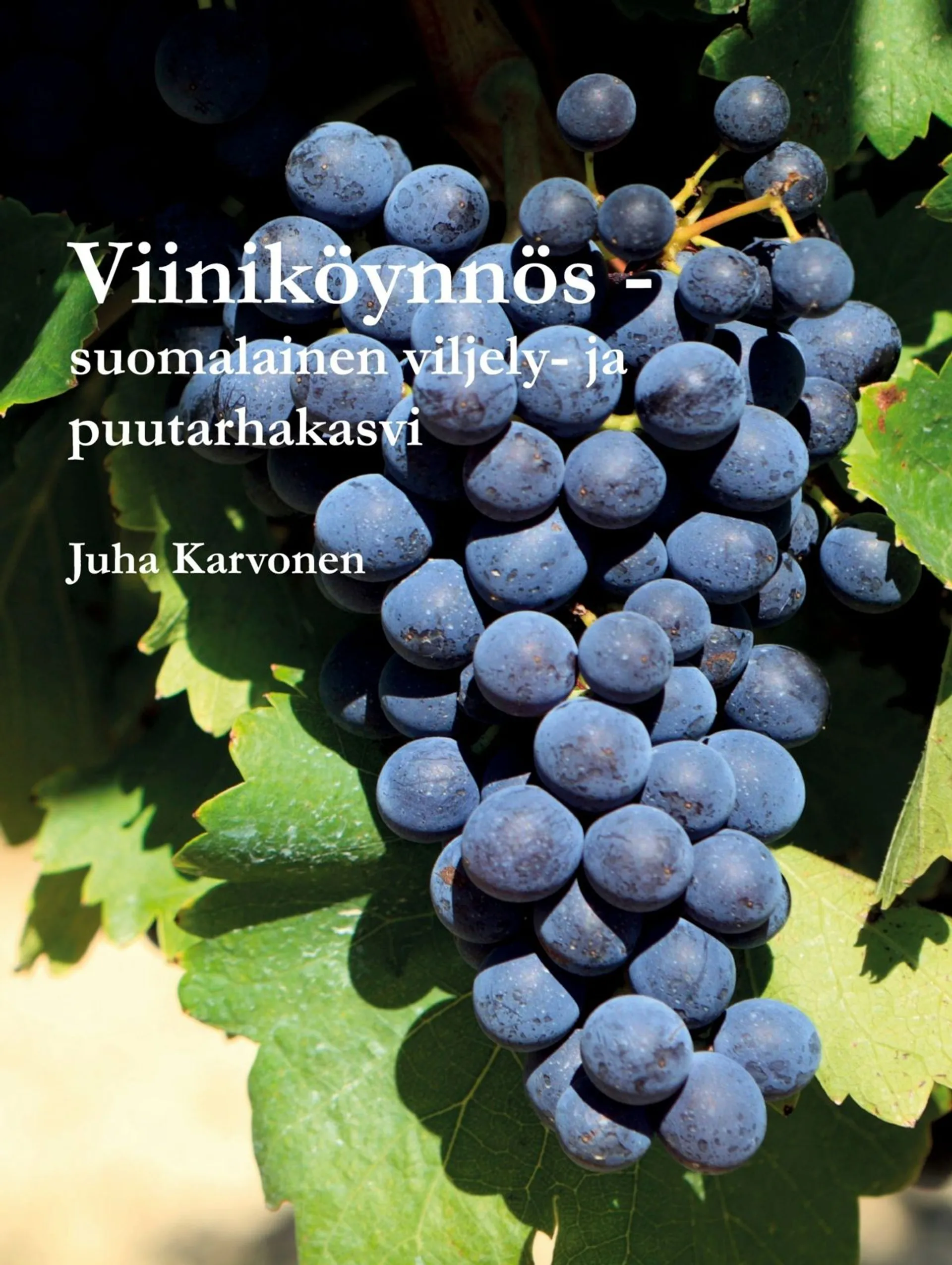 Karvonen, Viiniköynnös - suomalainen viljely- ja puutarhakasvi