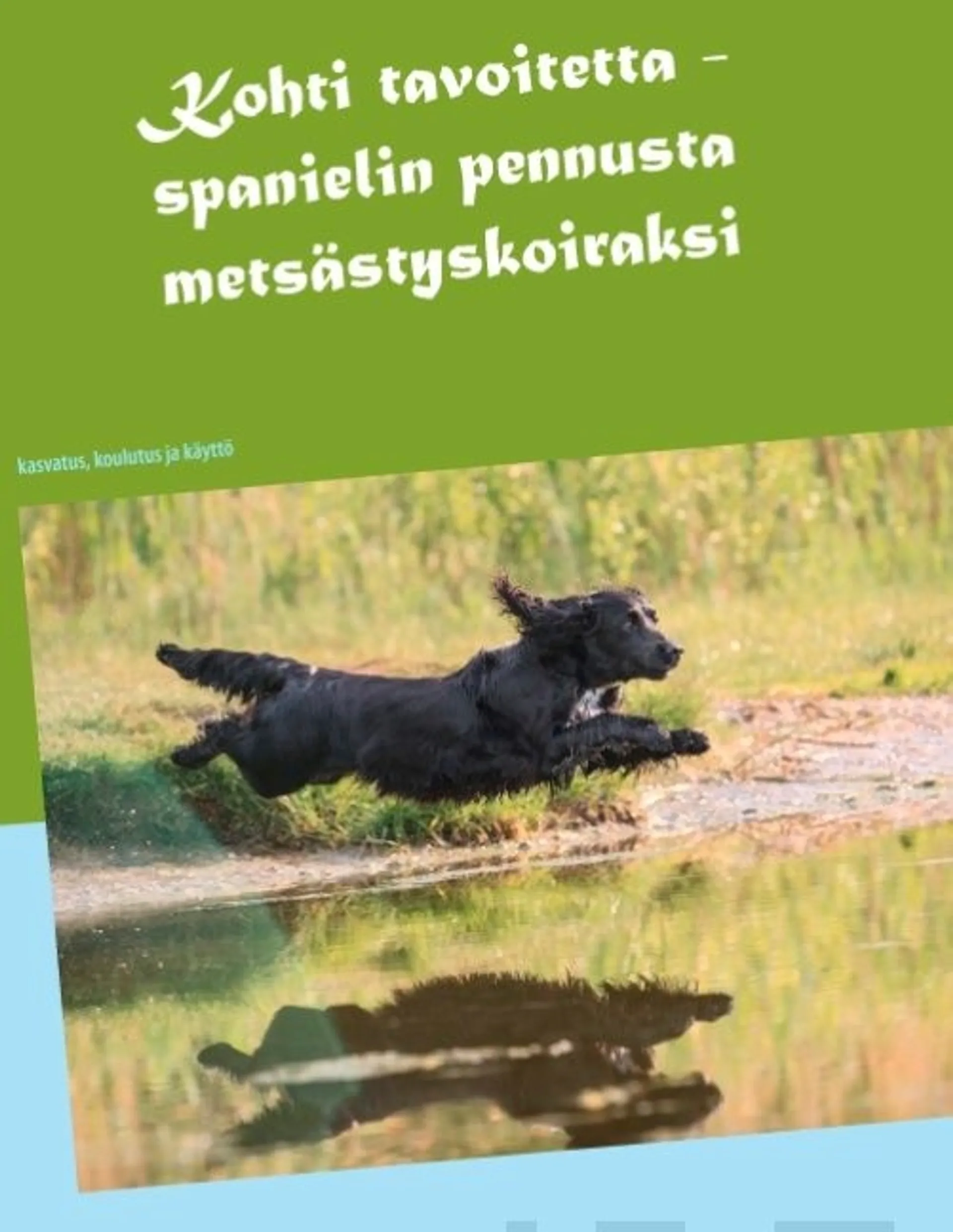 Karlström, Kohti tavoitetta - Spanielin pennusta metsästyskoiraksi