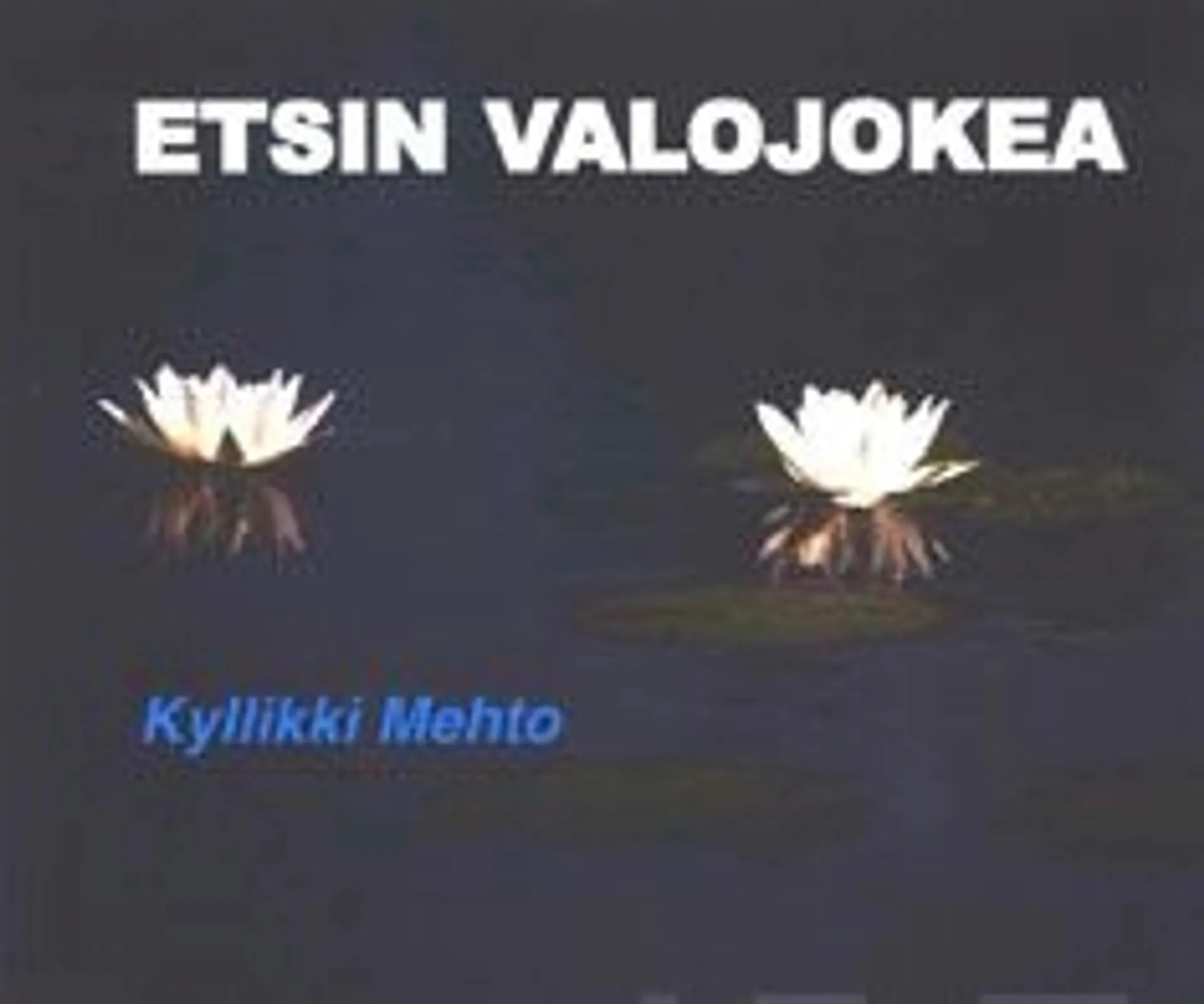 Mehto, Etsin valojokea - runoja, kirjeitä