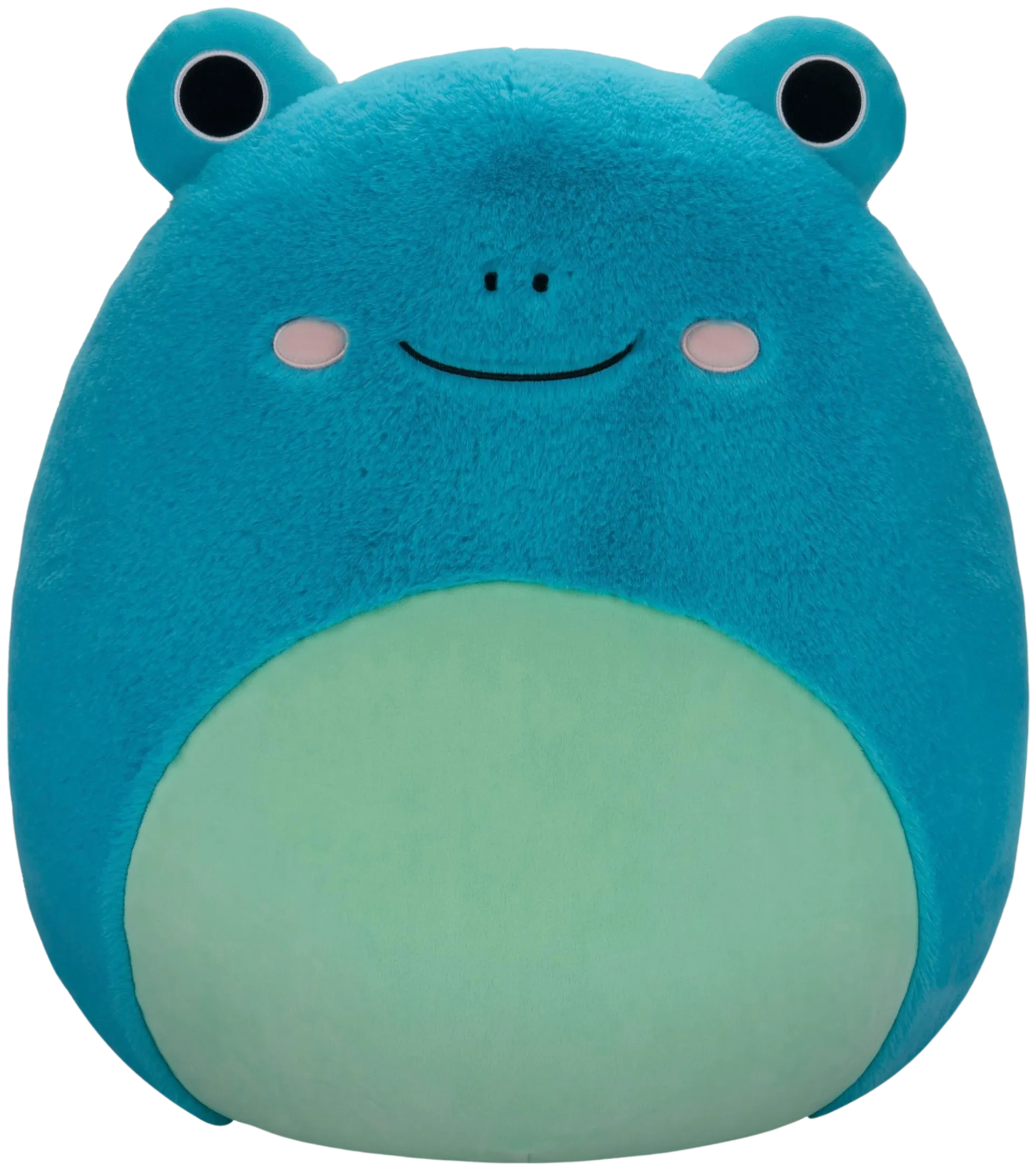 Squishmallows 50 cm P19 Fuzz Ludwig Frog