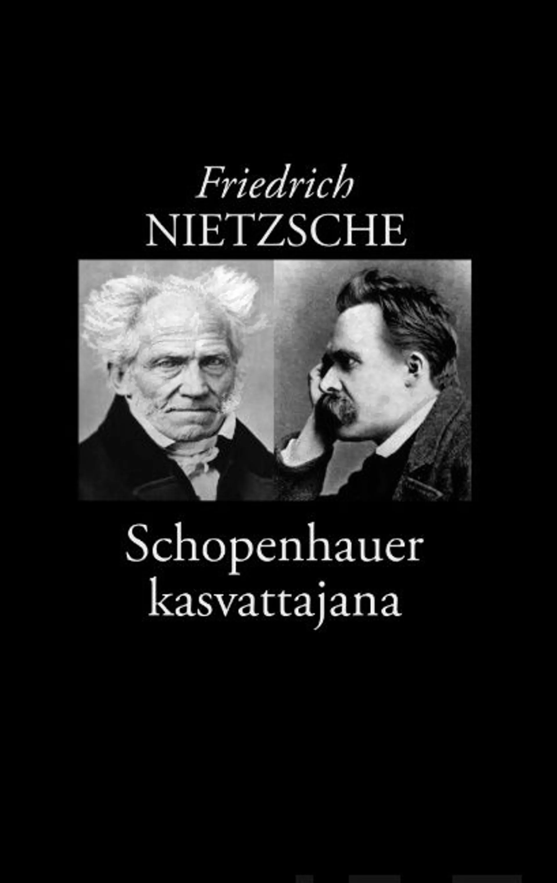 Nietzsche, Schopenhauer kasvattajana