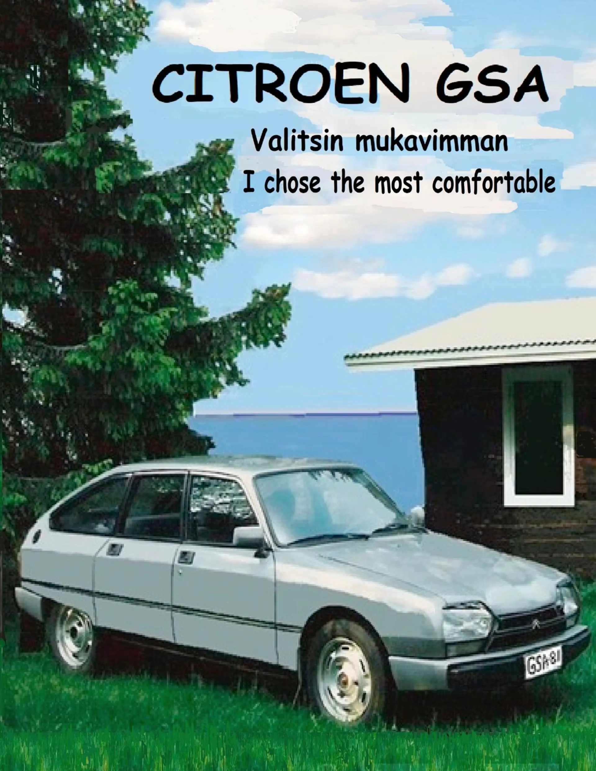 Brand, Citroen GSA - Valitsin mukavimman - I chose the most comfortable