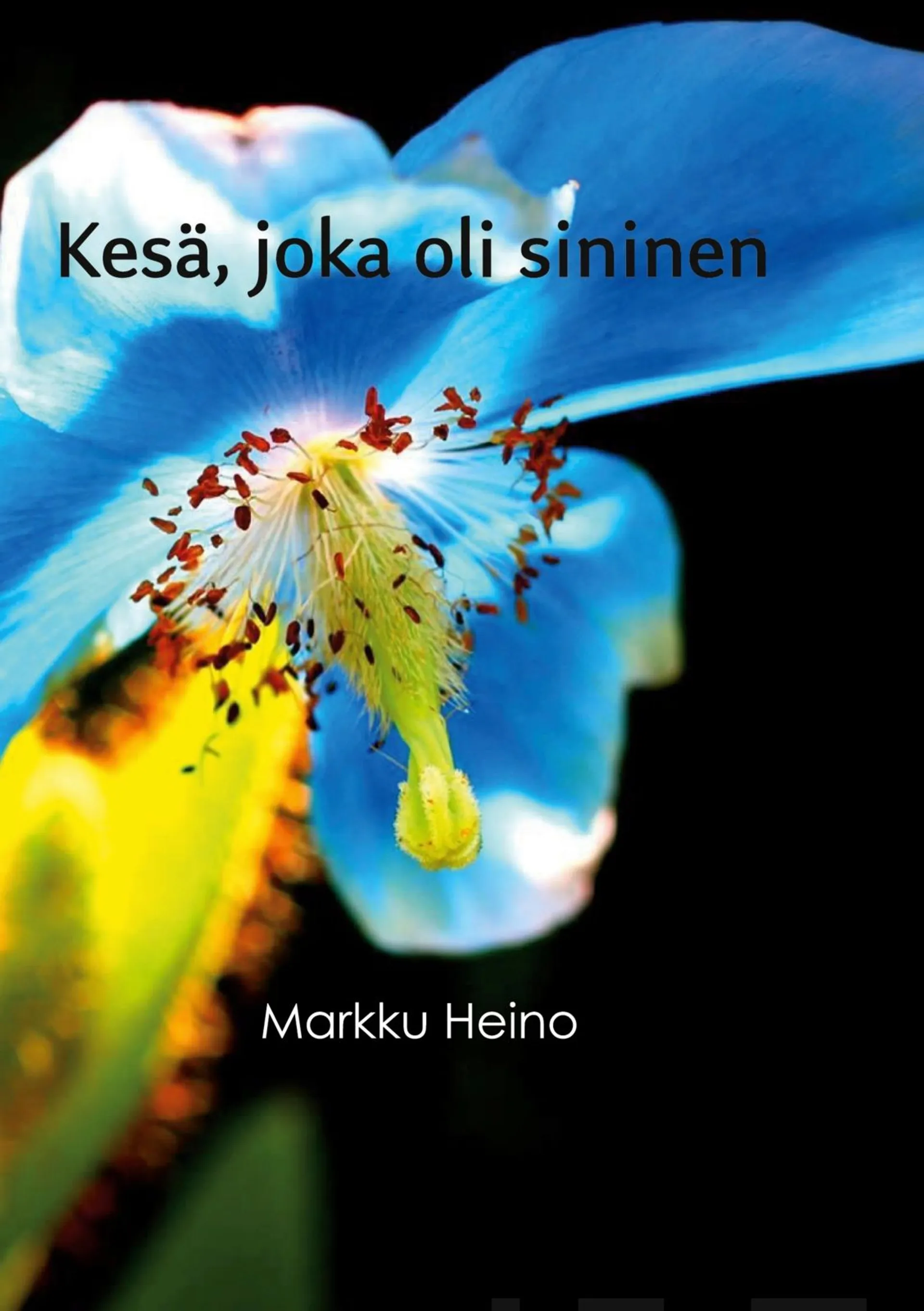 Heino, Kesä, joka oli sininen