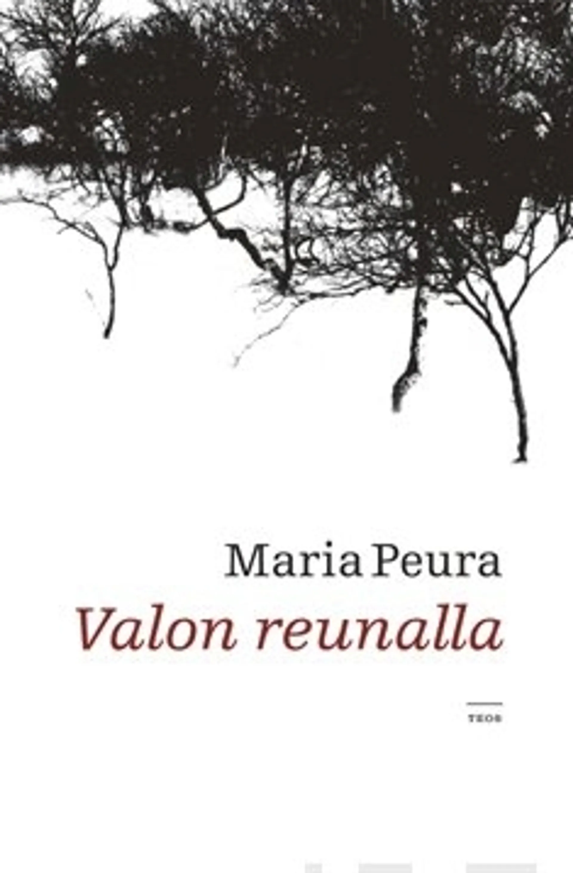 Valon reunalla