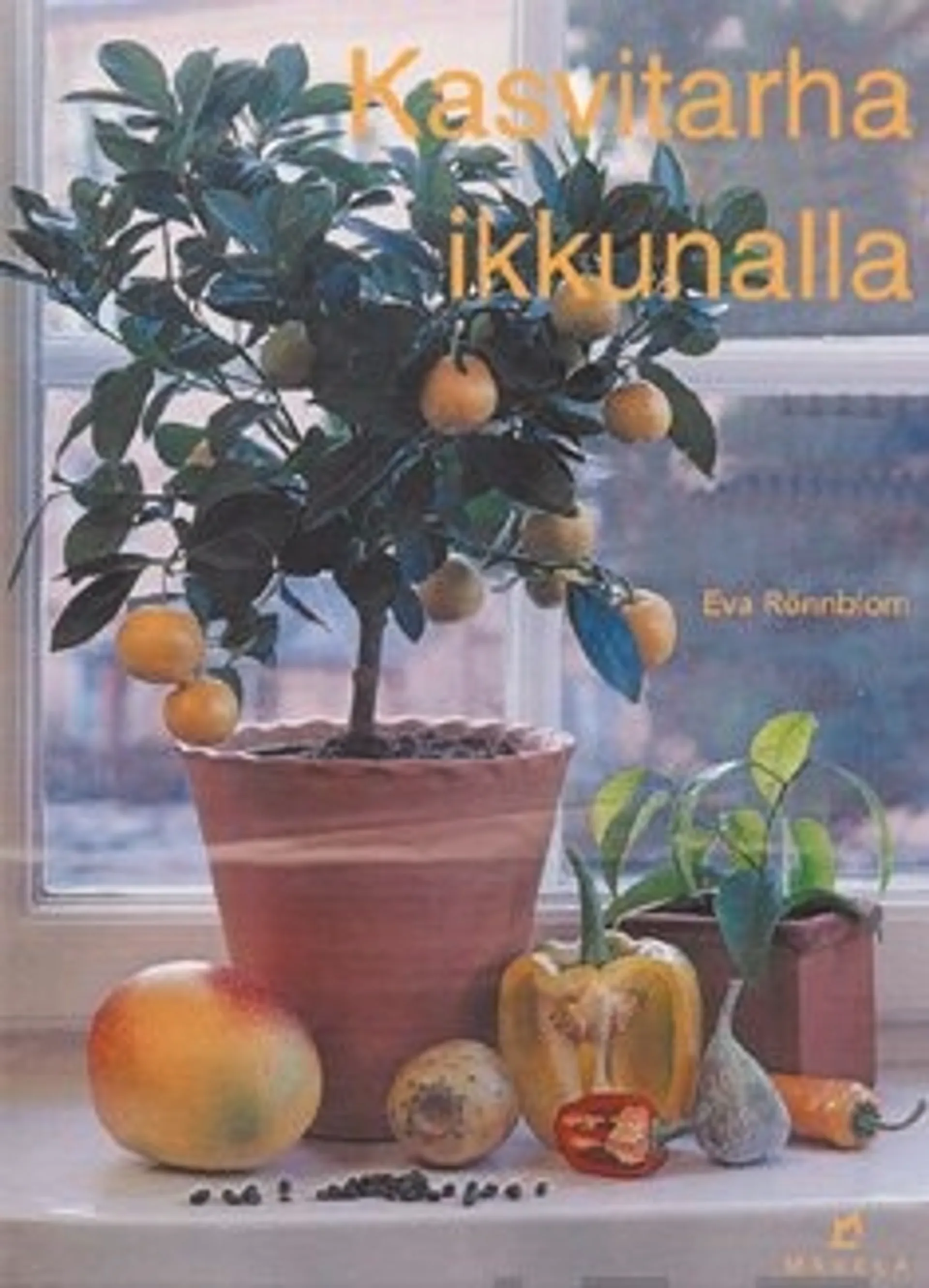 Kasvitarha ikkunalla