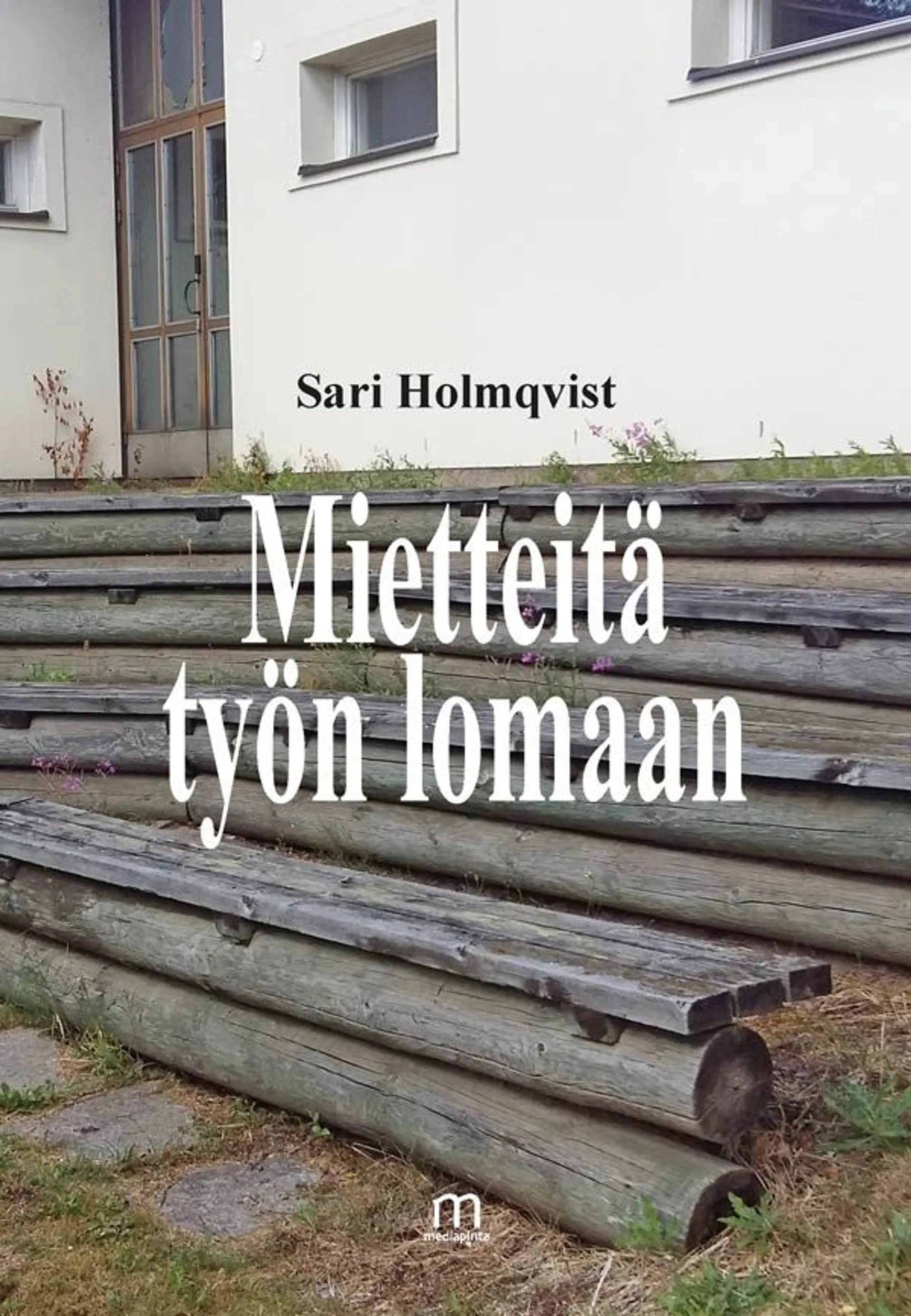 Holmqvist Sari, Mietteitä työn lomaan