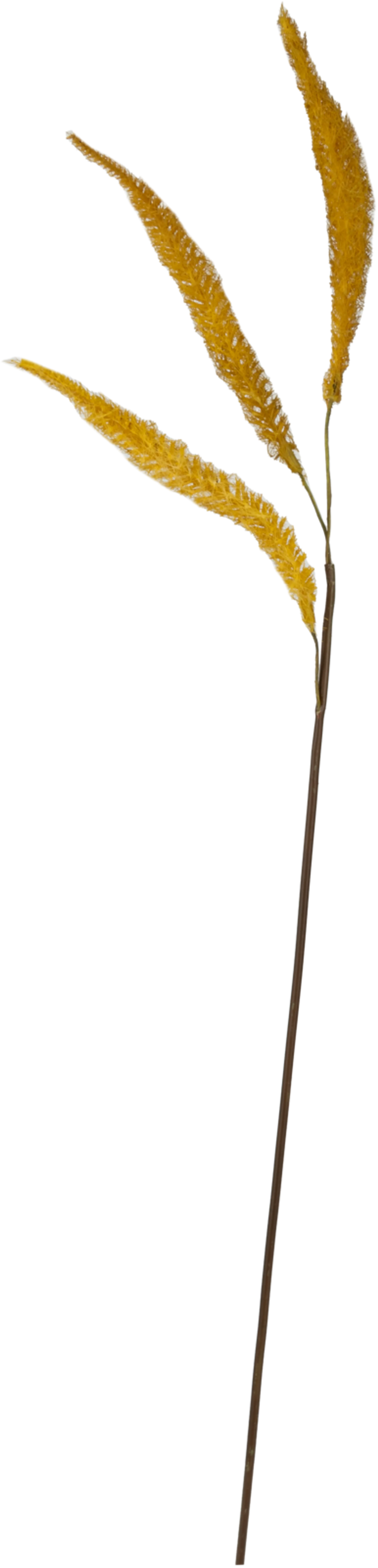 Teko-oksa Foxtail vihreä 28 cm