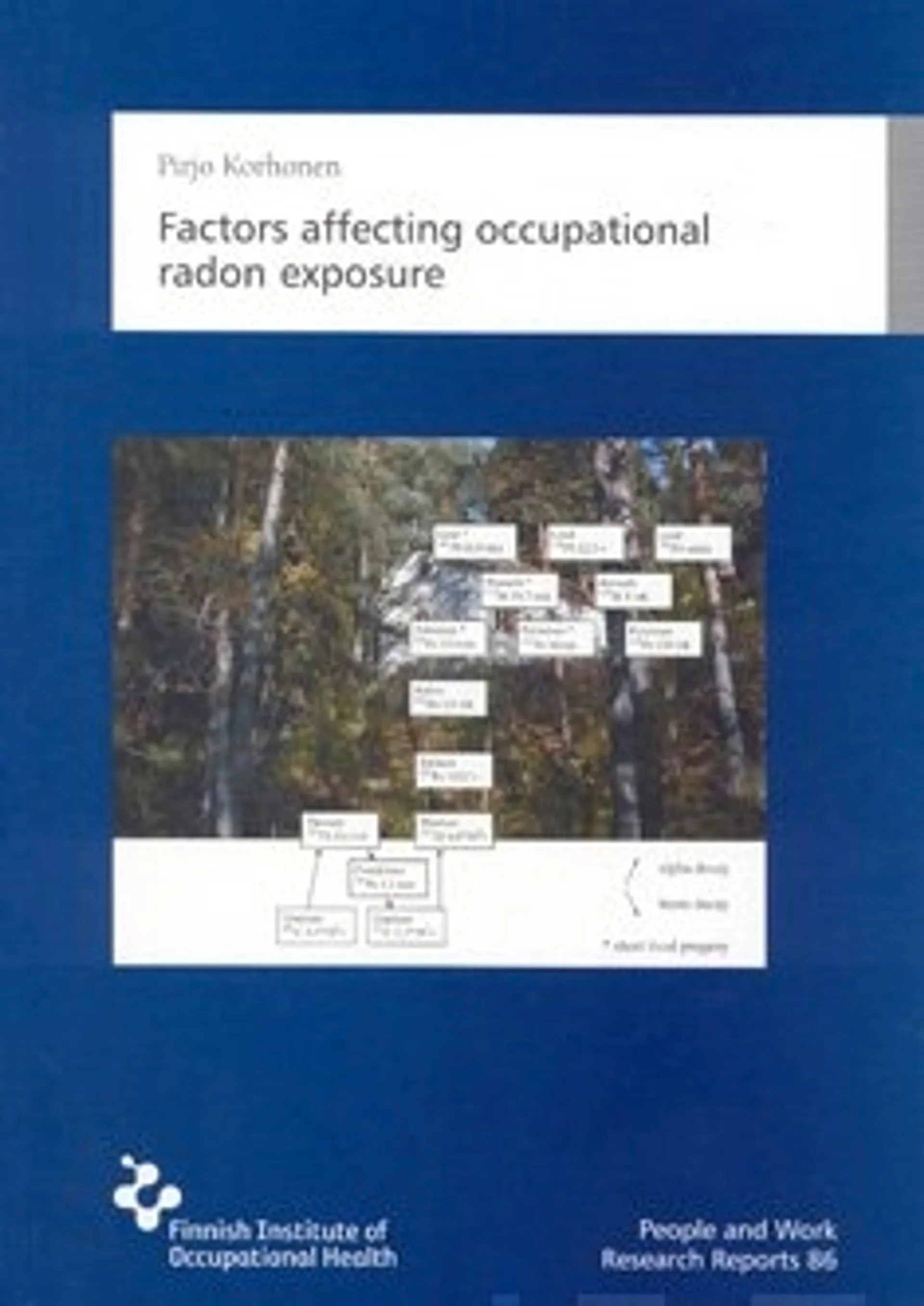 Factors affecting occupational radon exposure