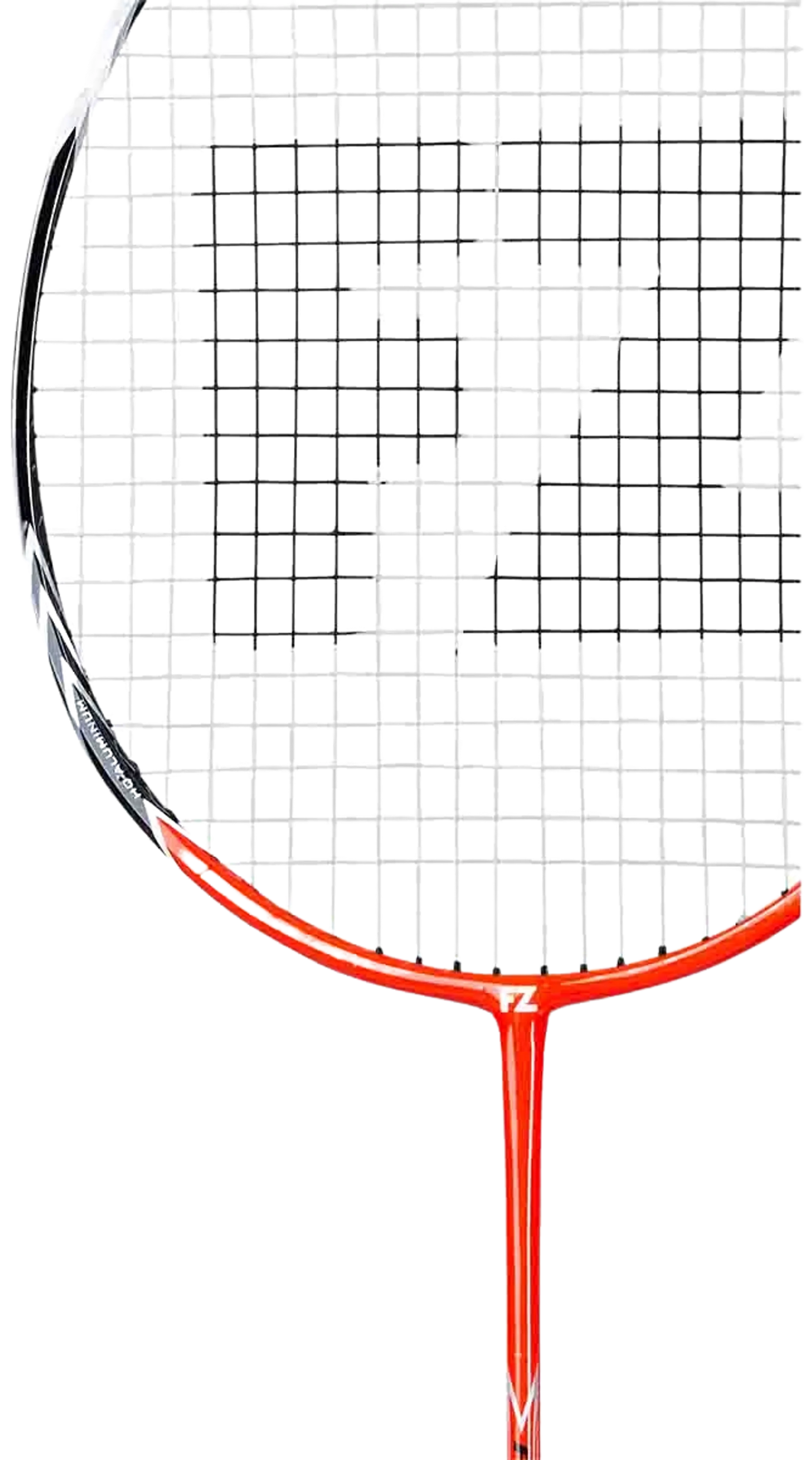 FZ FORZA DYNAMIC 10 Badminton racket - 2