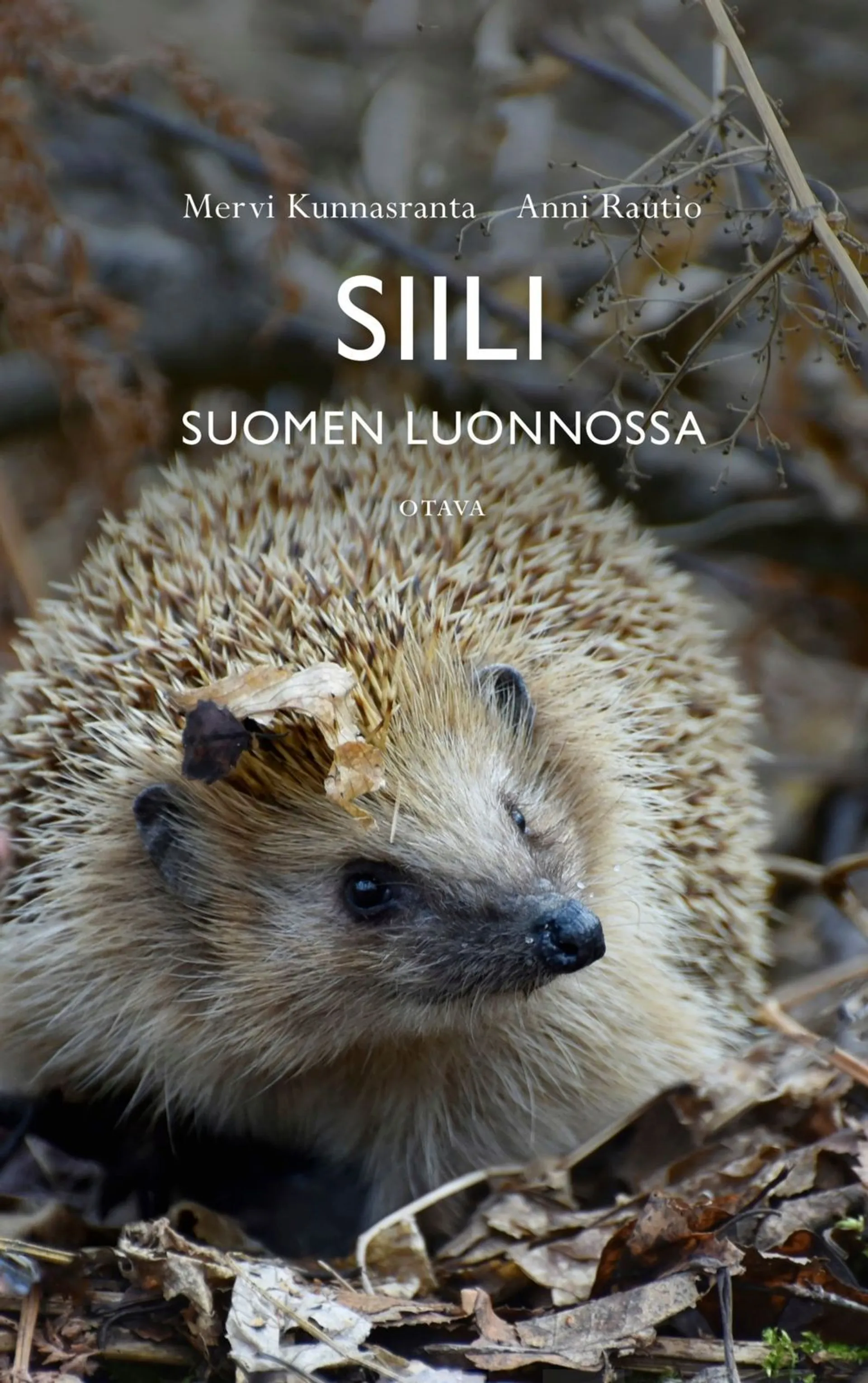 Kunnasranta, Siili Suomen luonnossa