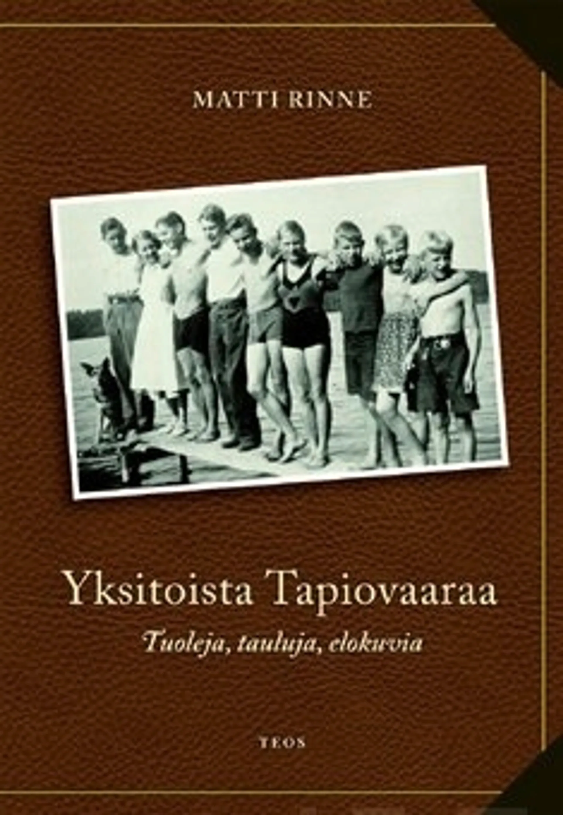 Yksitoista Tapiovaaraa