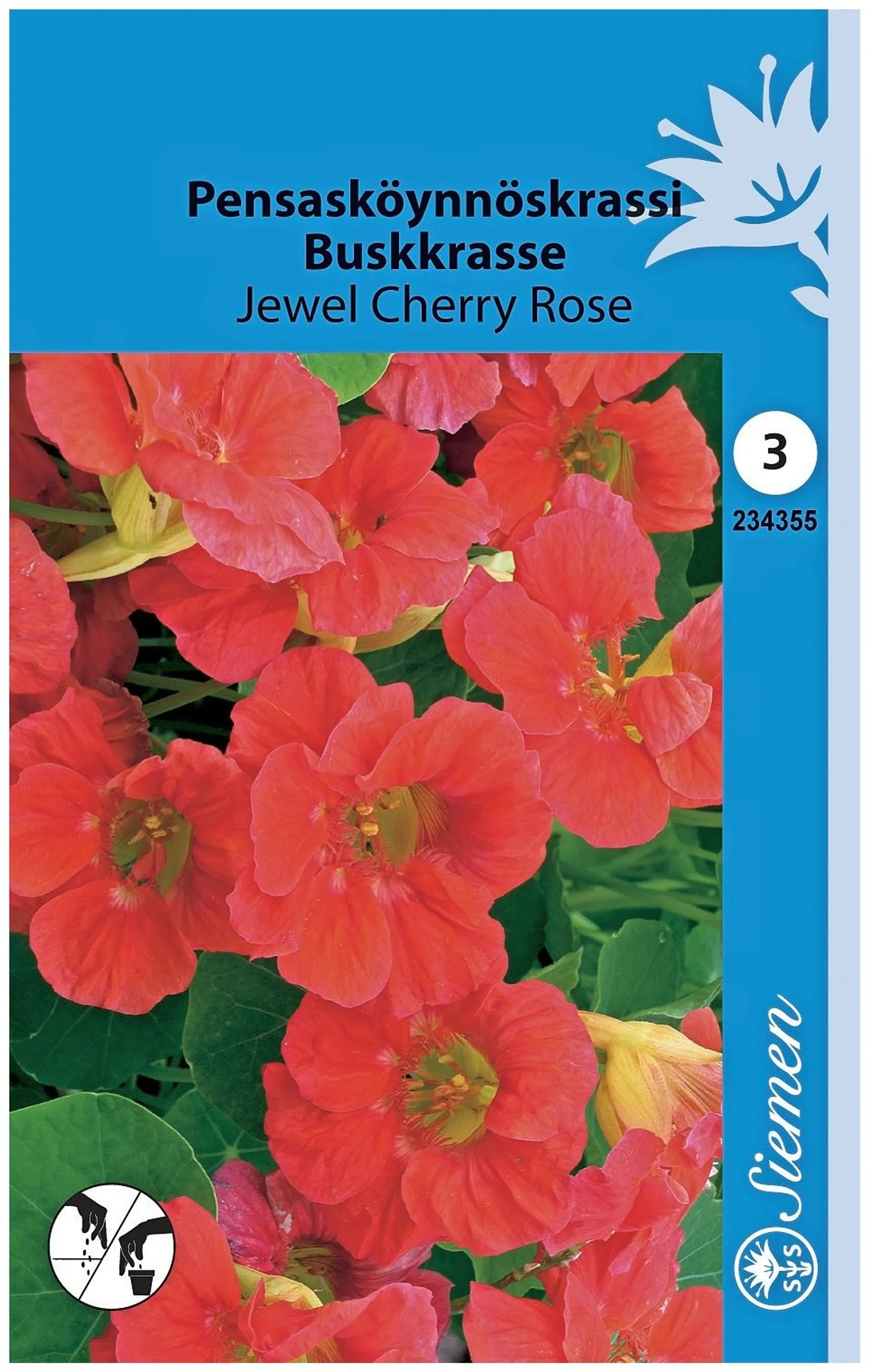 Pensaskrassi Jewel Cherry Rose