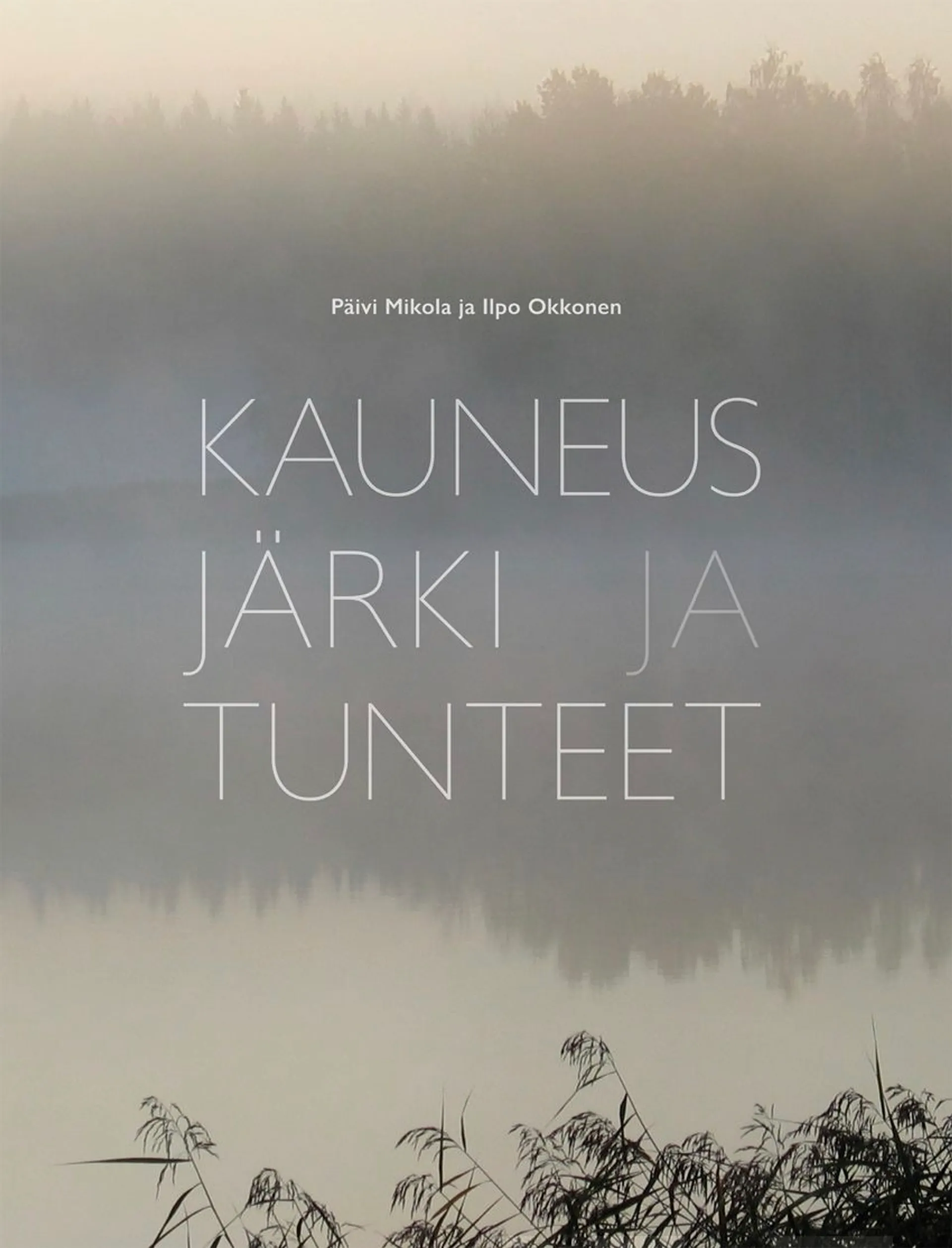 Mikola, Kauneus, järki ja tunteet