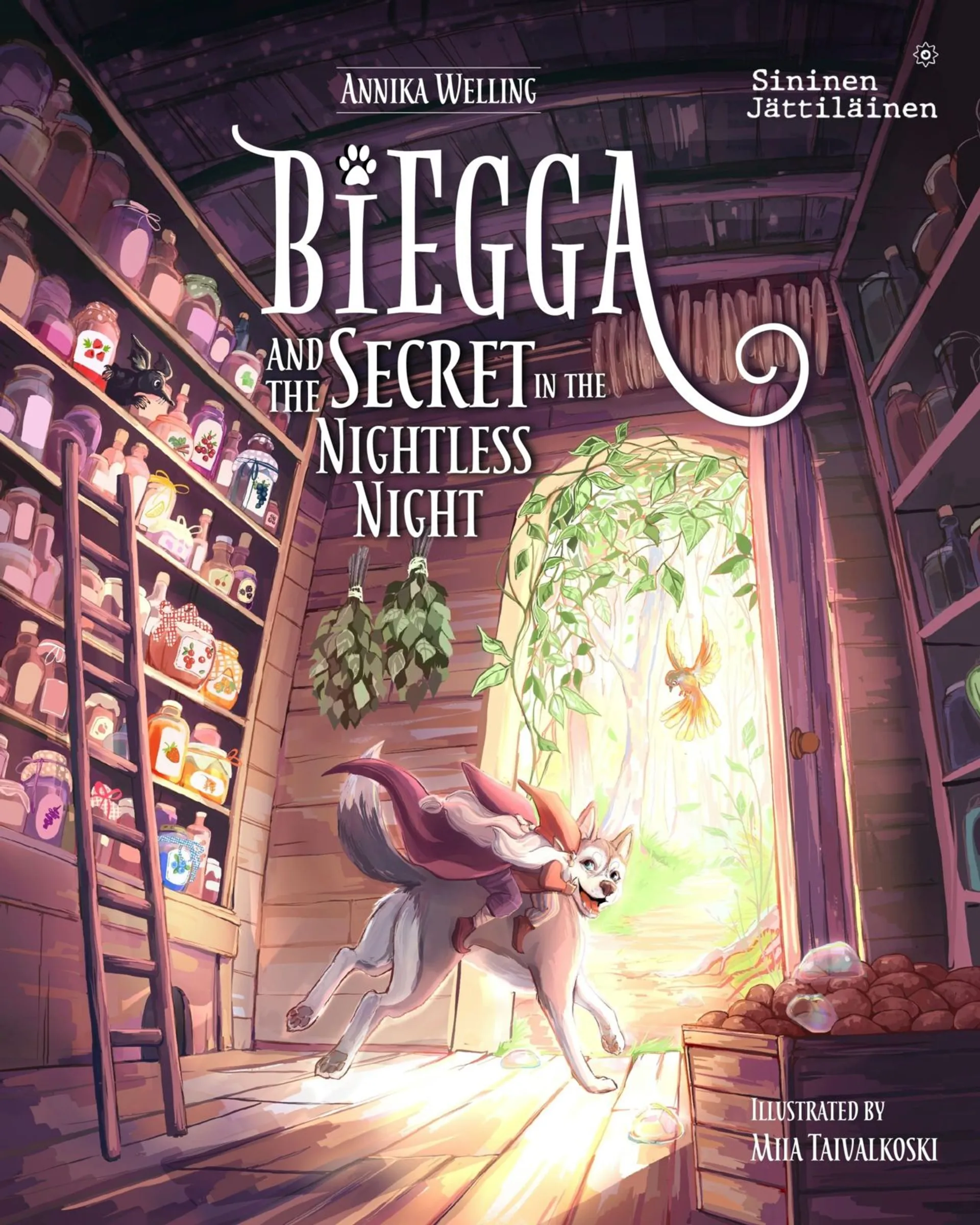 Welling, Biegga and the secret in the Nightless Night