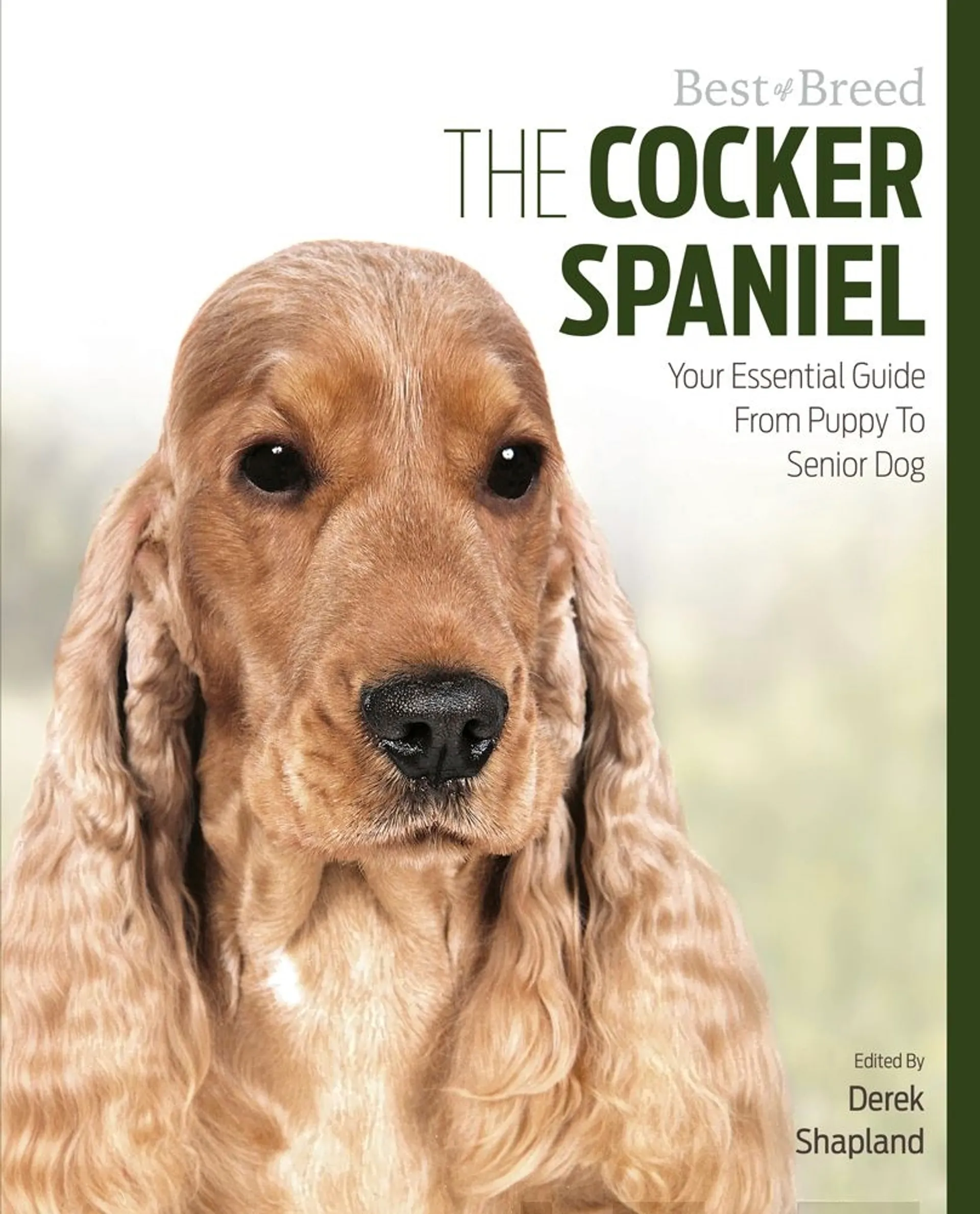 Shapland, The Cocker Spaniel - Your Essential Guide From Puppy to Senior Dog