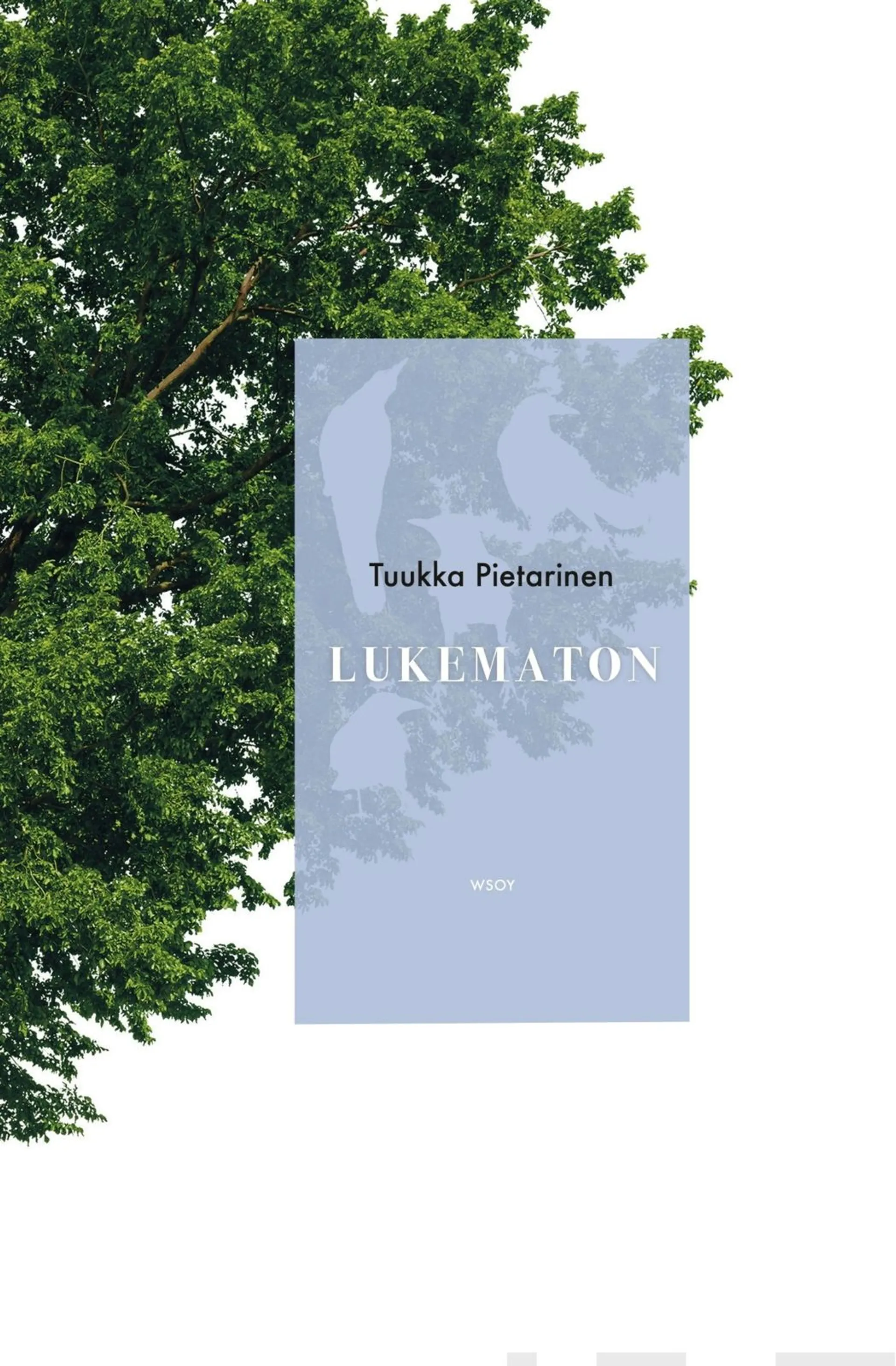 Pietarinen, Lukematon - Kolme lukua