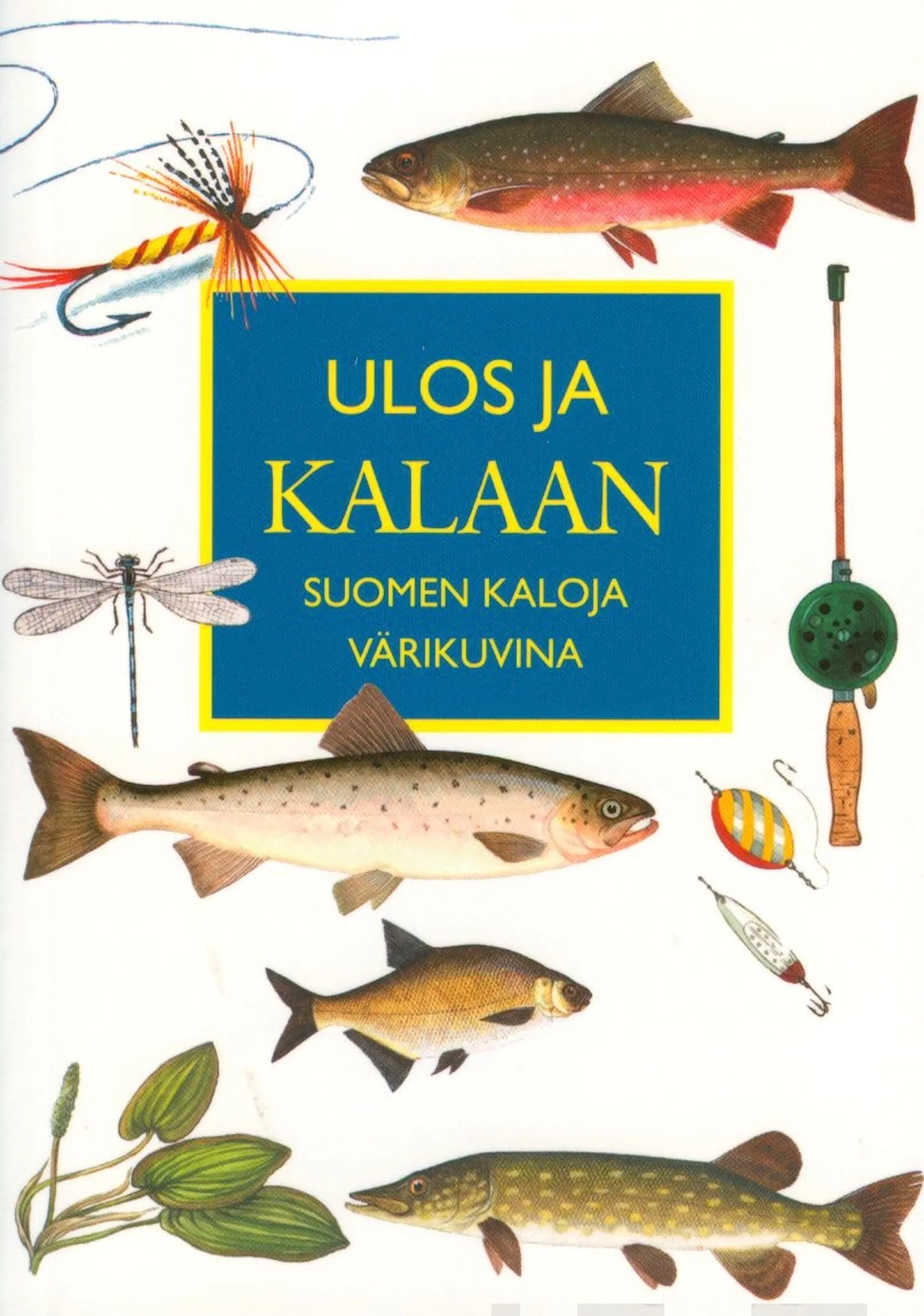 Bolle, Ulos ja kalaan - Suomen kaloja värikuvina