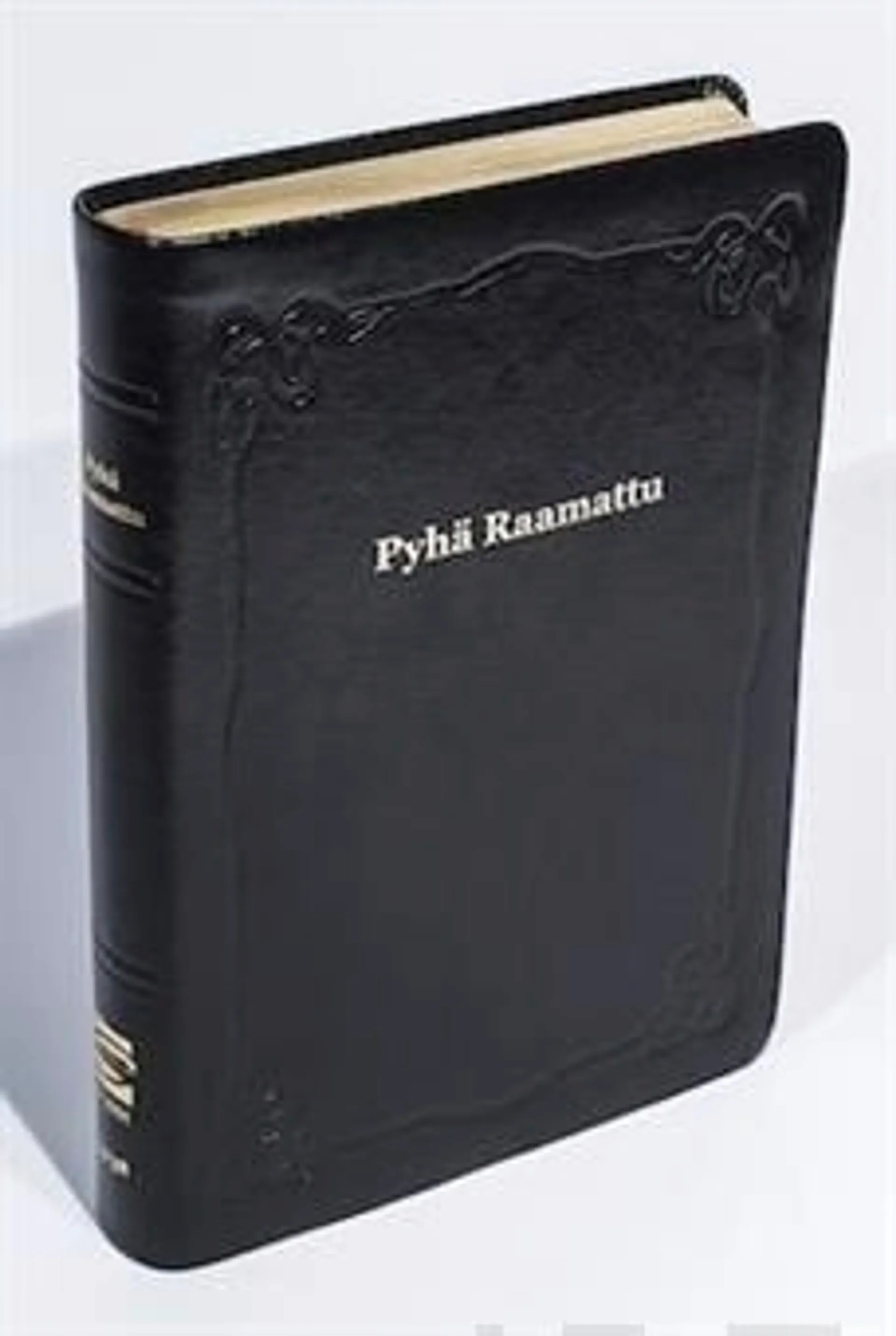 Raamattu (johdannoin, iso koko, marginaali, musta R47, nahkakansi)