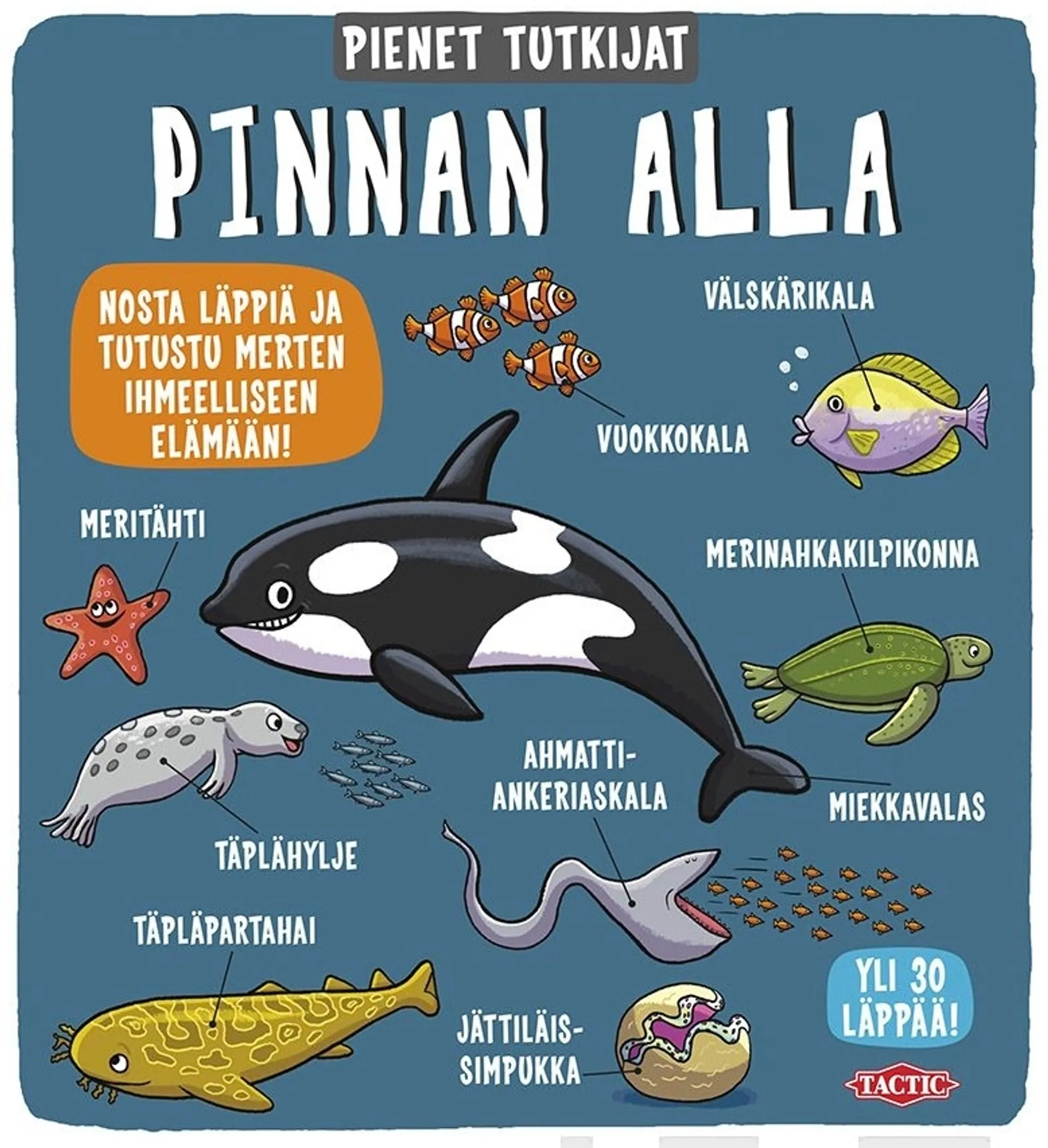 Pinnan alla