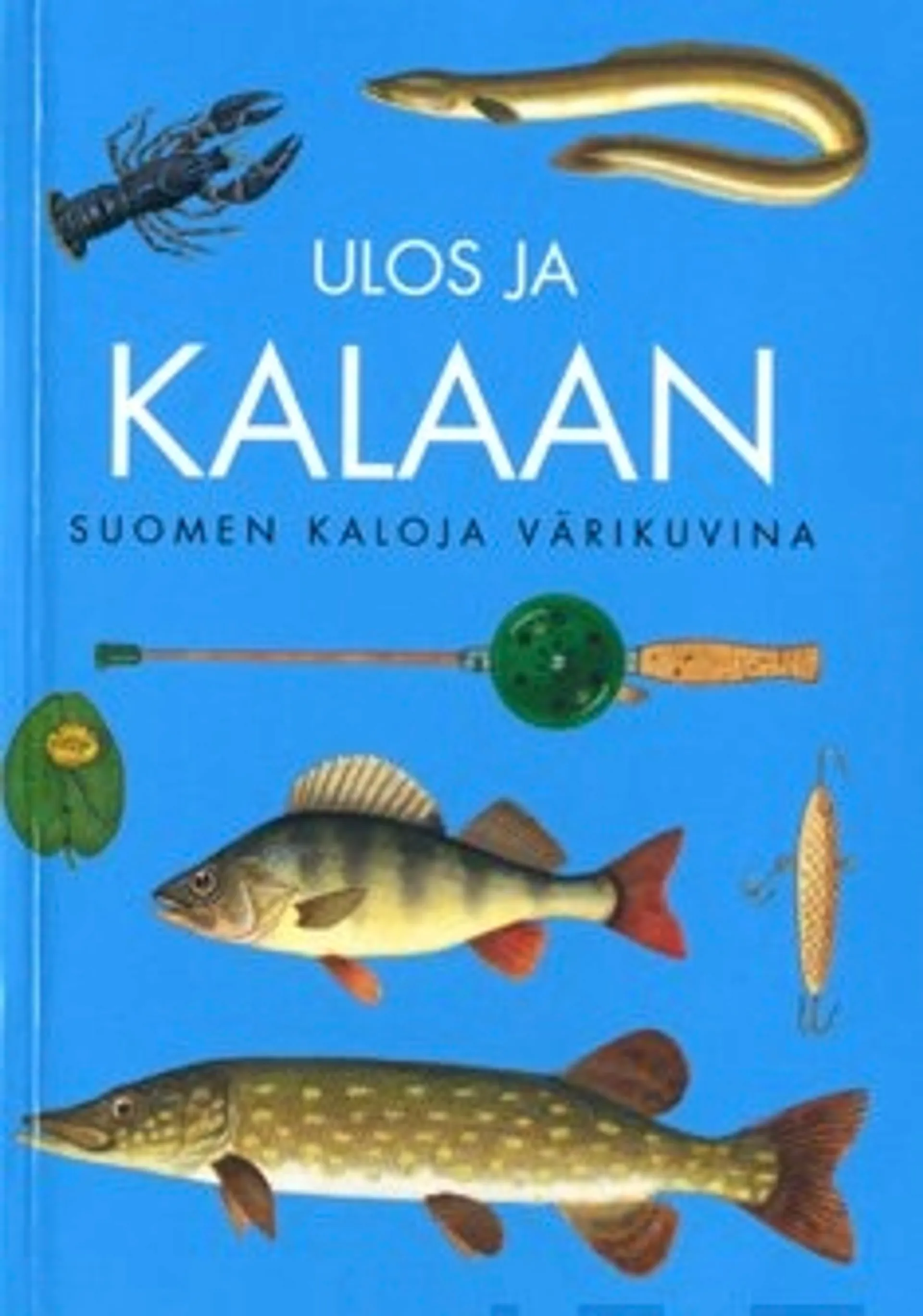 Ulos ja kalaan