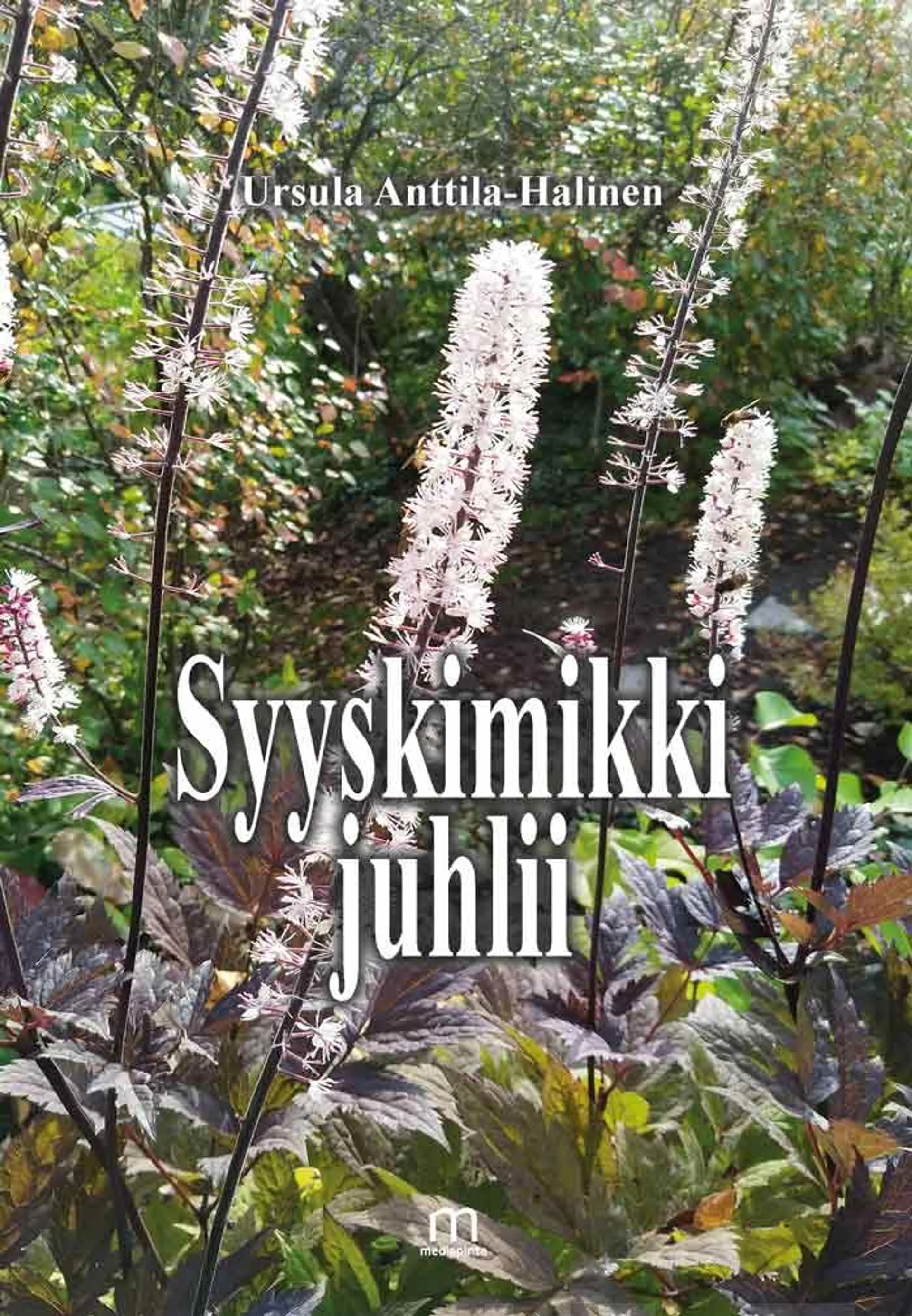 Anttila-Halinen, Syyskimikki juhlii