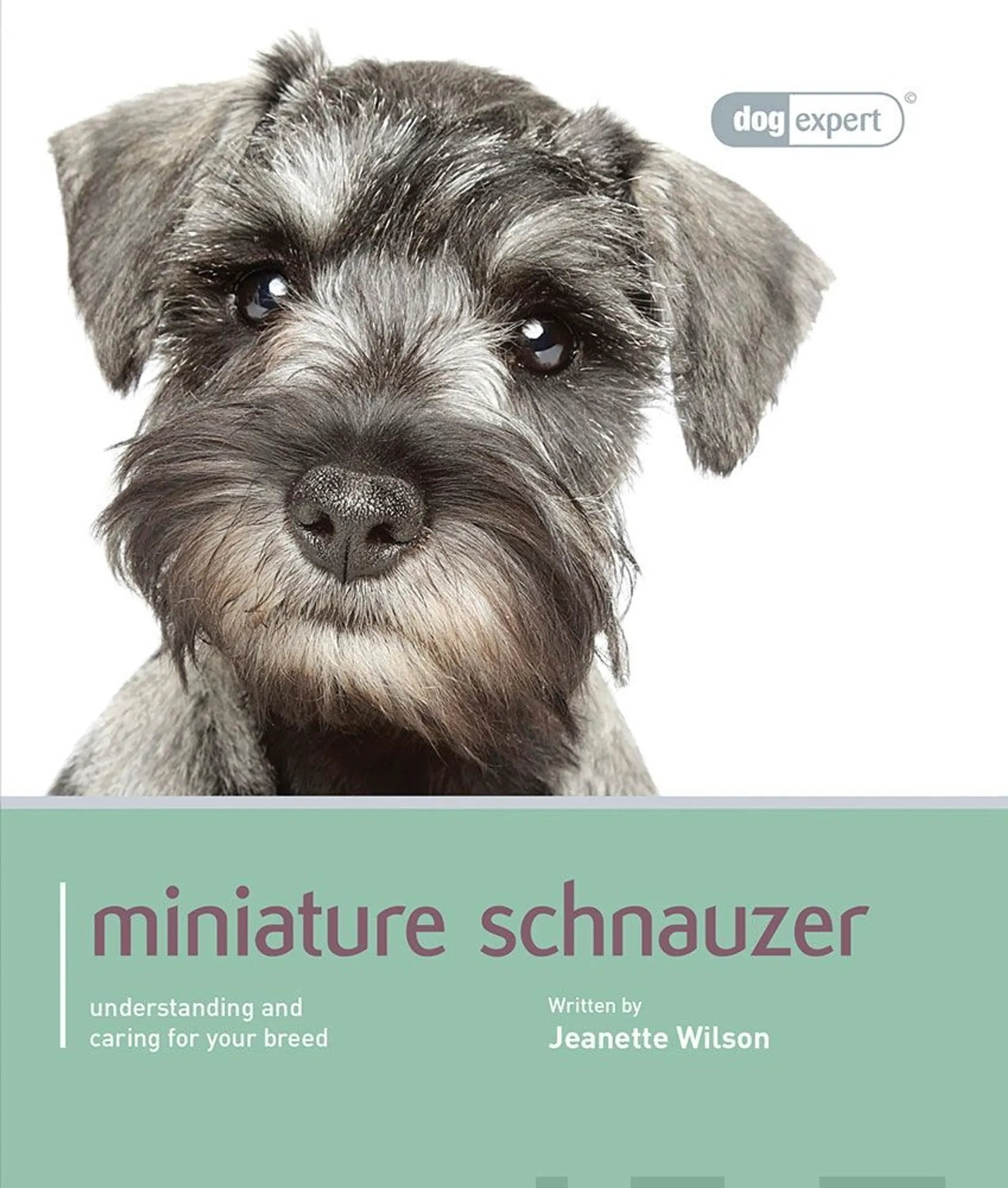 Wilson, Miniature Schnauzer - Understanding and caring for your breed