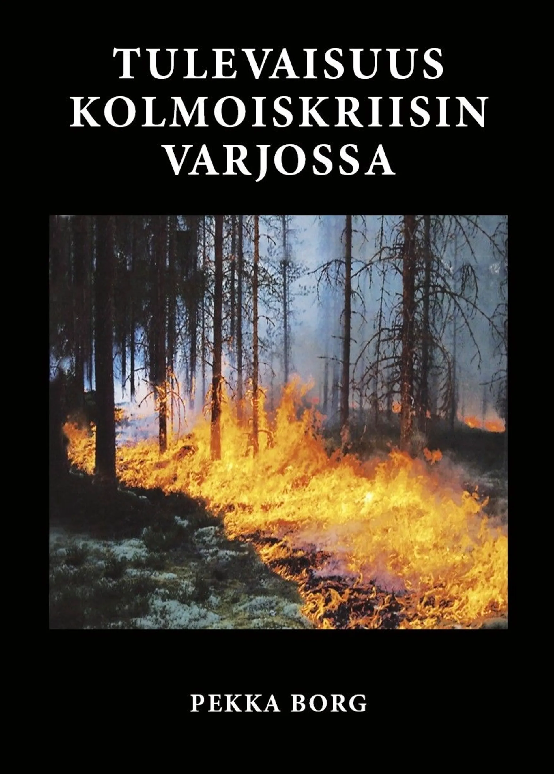 Borg, Tulevaisuus kolmoiskriisin varjossa