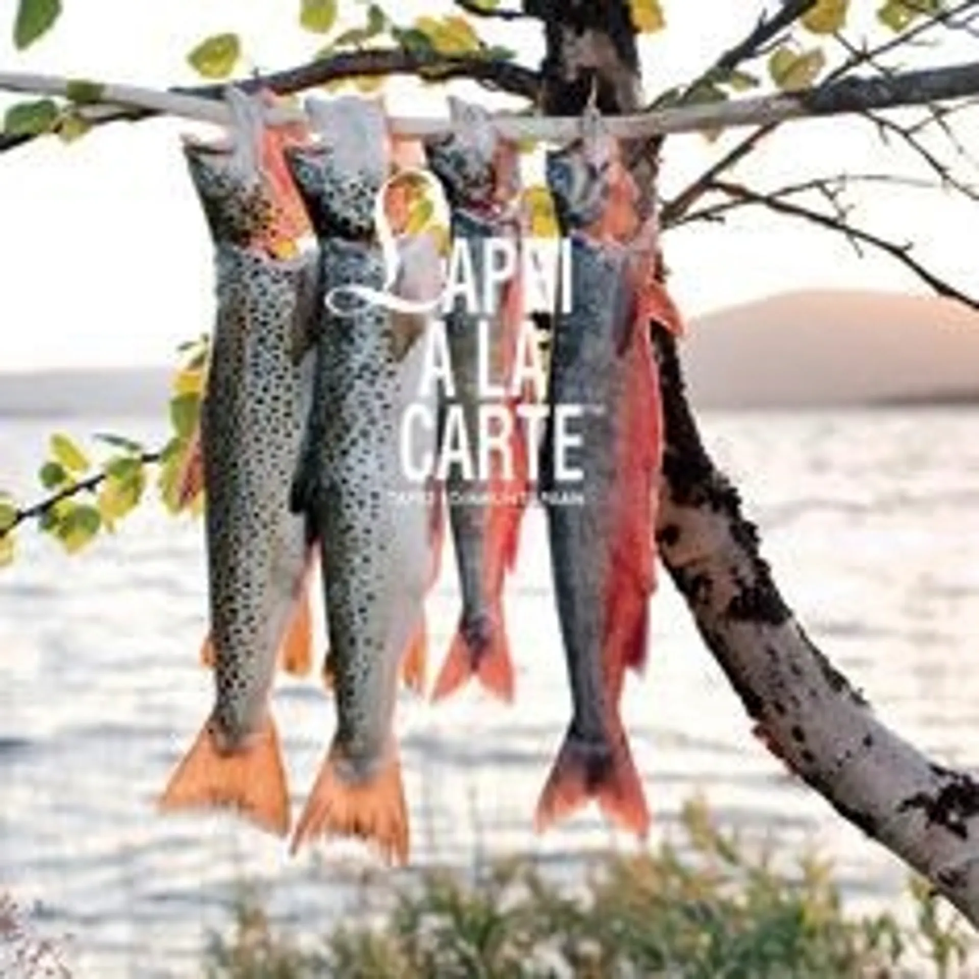 Sointu, Lappi a la carte - Tapio Soinnun tapaan