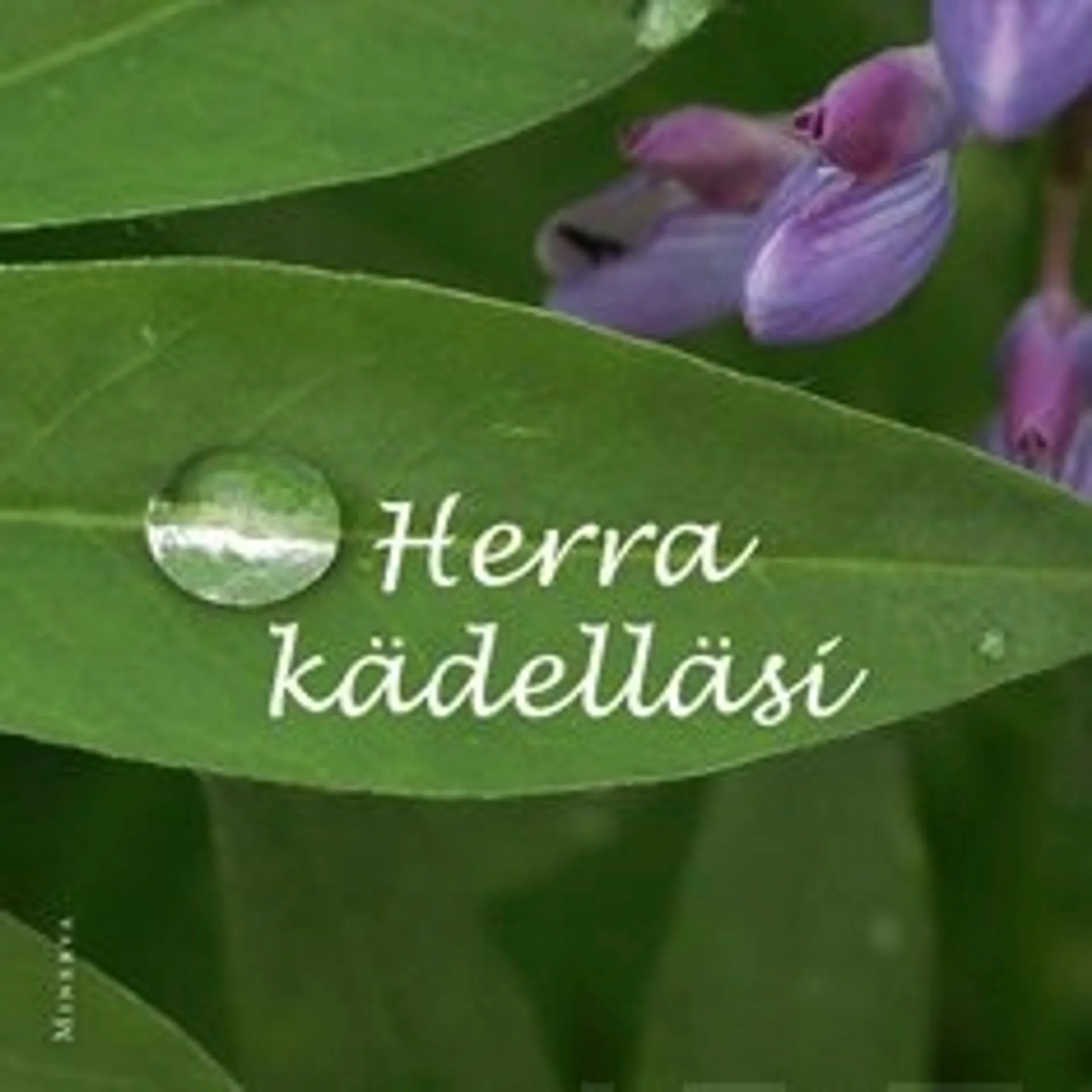 Herra, kädelläsi